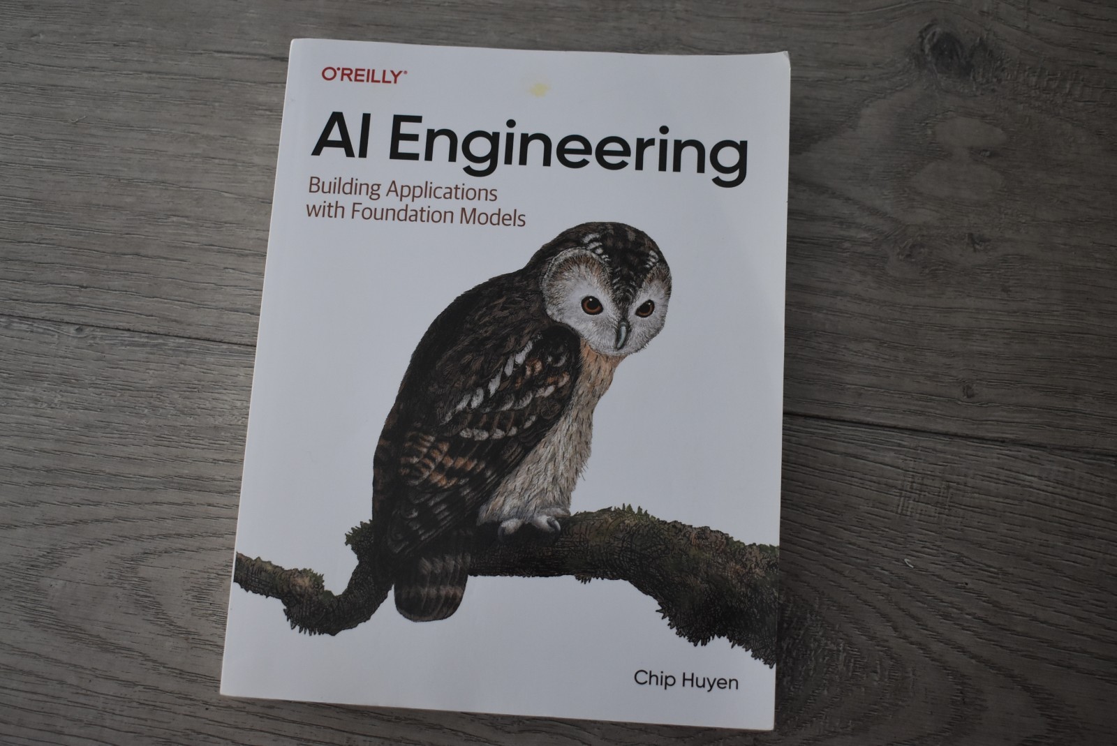 AI Engineering: Building Applications with Foundation Models – Paperback