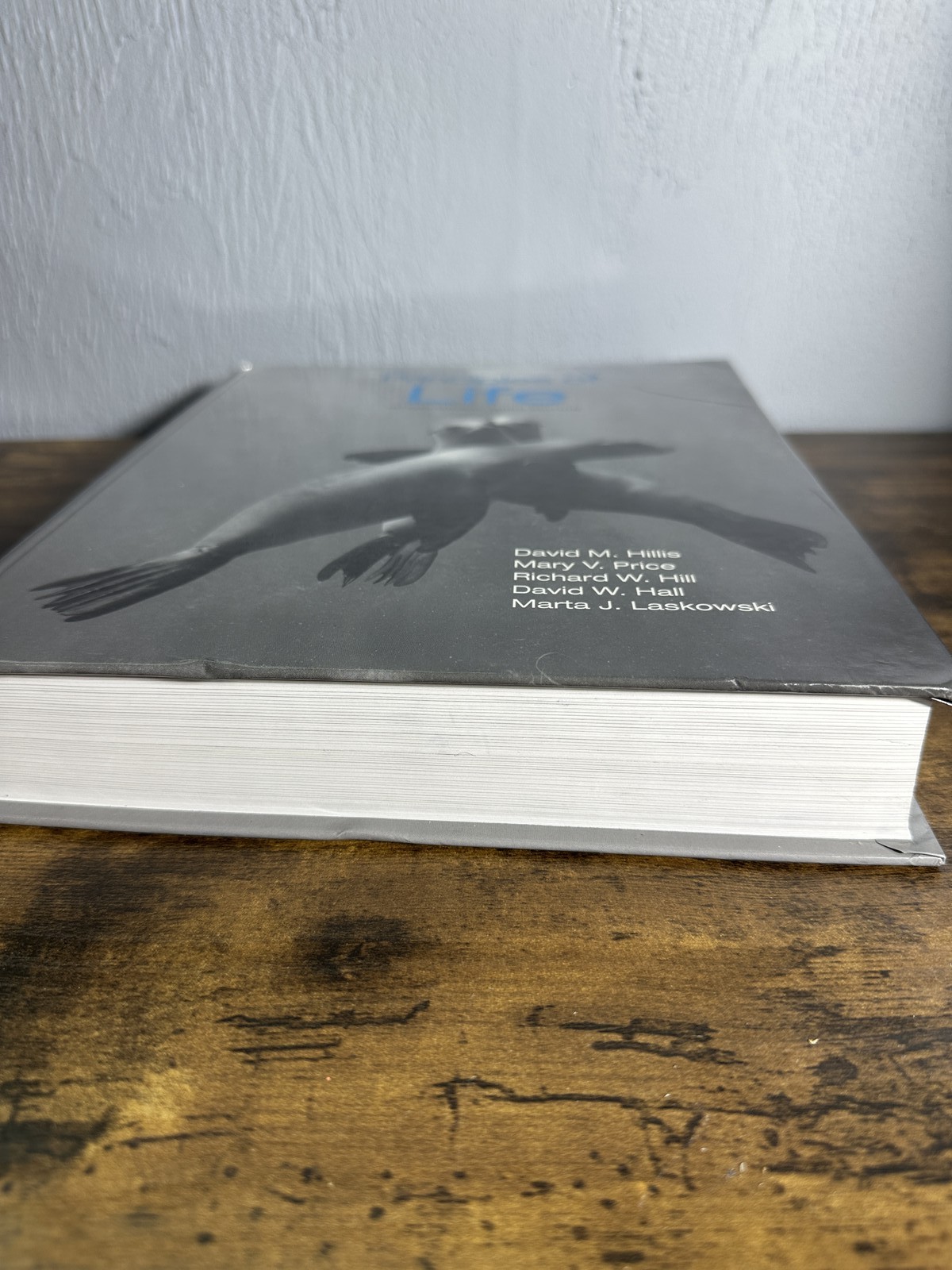 Principles of Life International Third Edition Hillis Price Hill Hall Laskowski