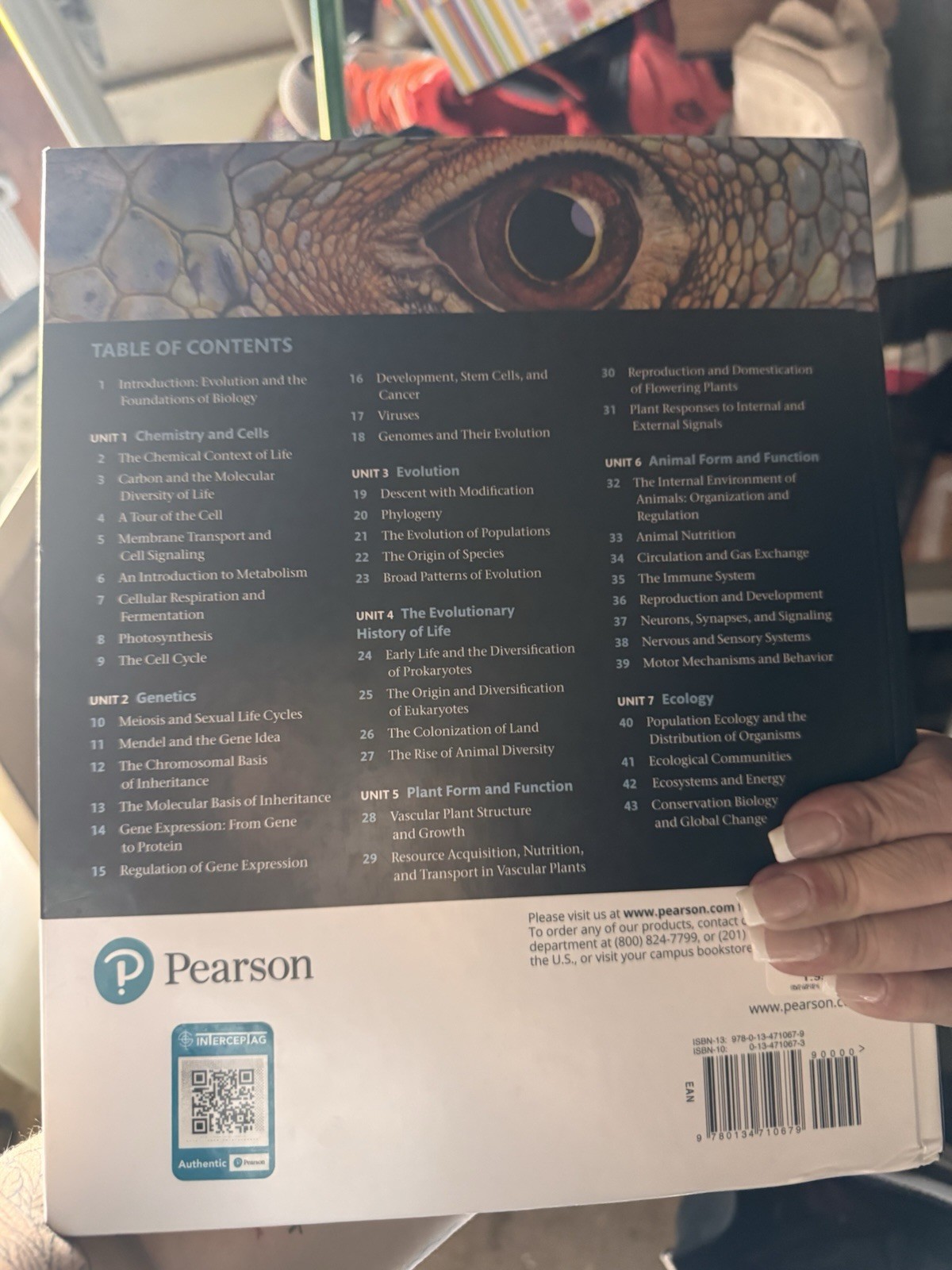 Campbell Biology in Focus by Urry, Lisa A., Cain, Michael L., Wasserman, Steven
