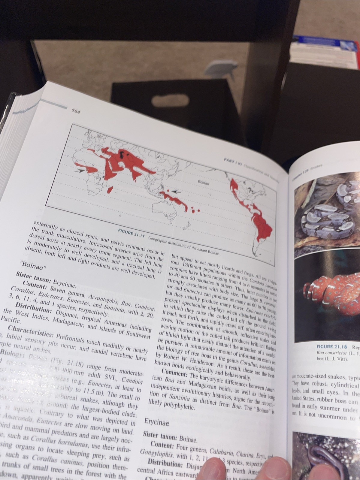 Herpetology: An Introductory Biology of Amphibians and Reptiles by Laurie J Vitt