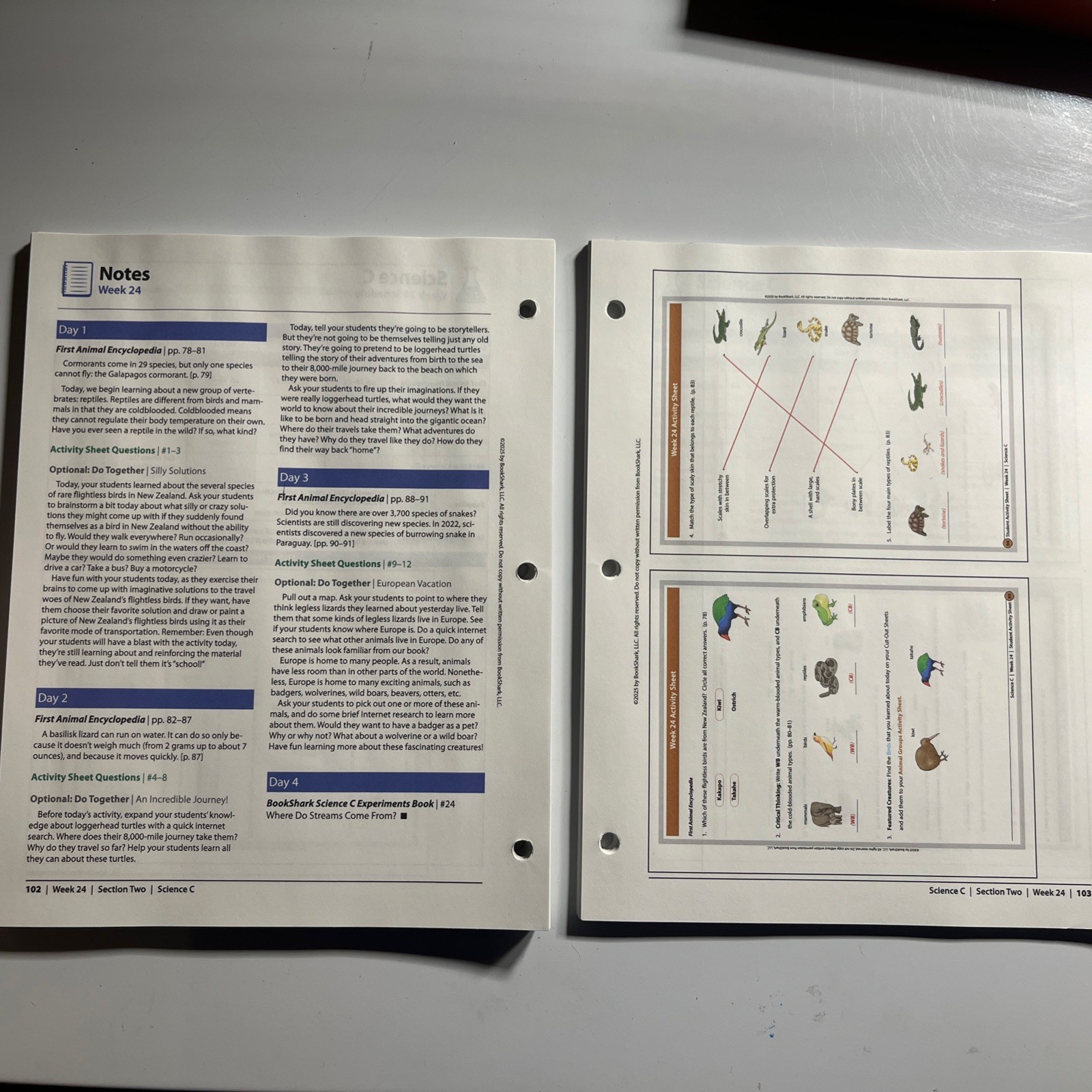 BookShark Science C Experiments Book And Instructor’s Guide