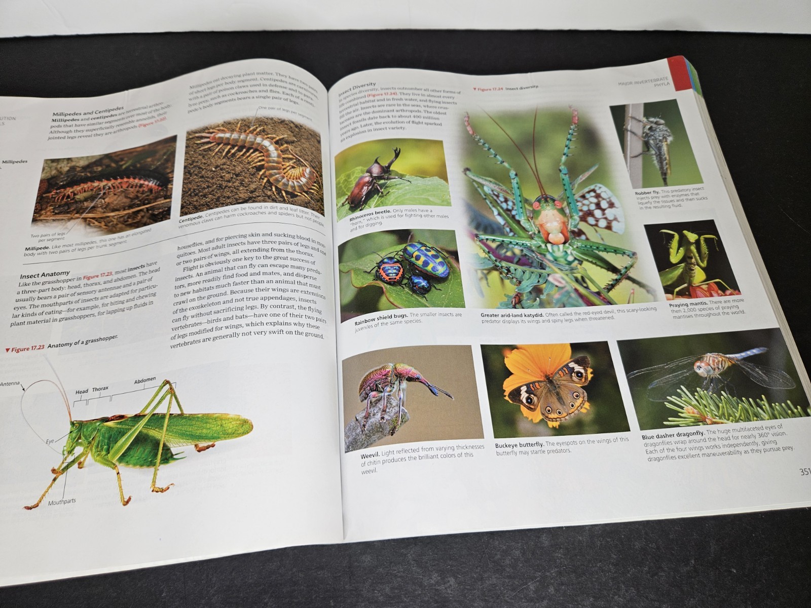Campbell ESSENTIAL BIOLOGY with Physiology, 6th Ed by Simon, 2019 PB, Used