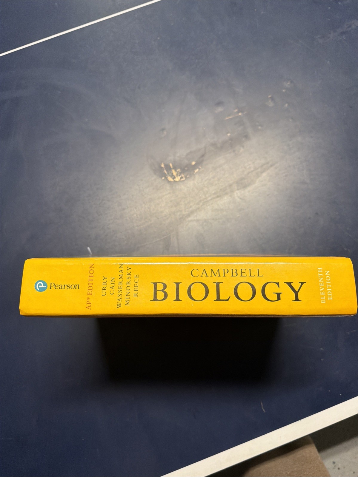 AP Campbell Biology by Urry, Wasserman, Cain, Minorsky Reece 11th Ed (BRAND NEW)