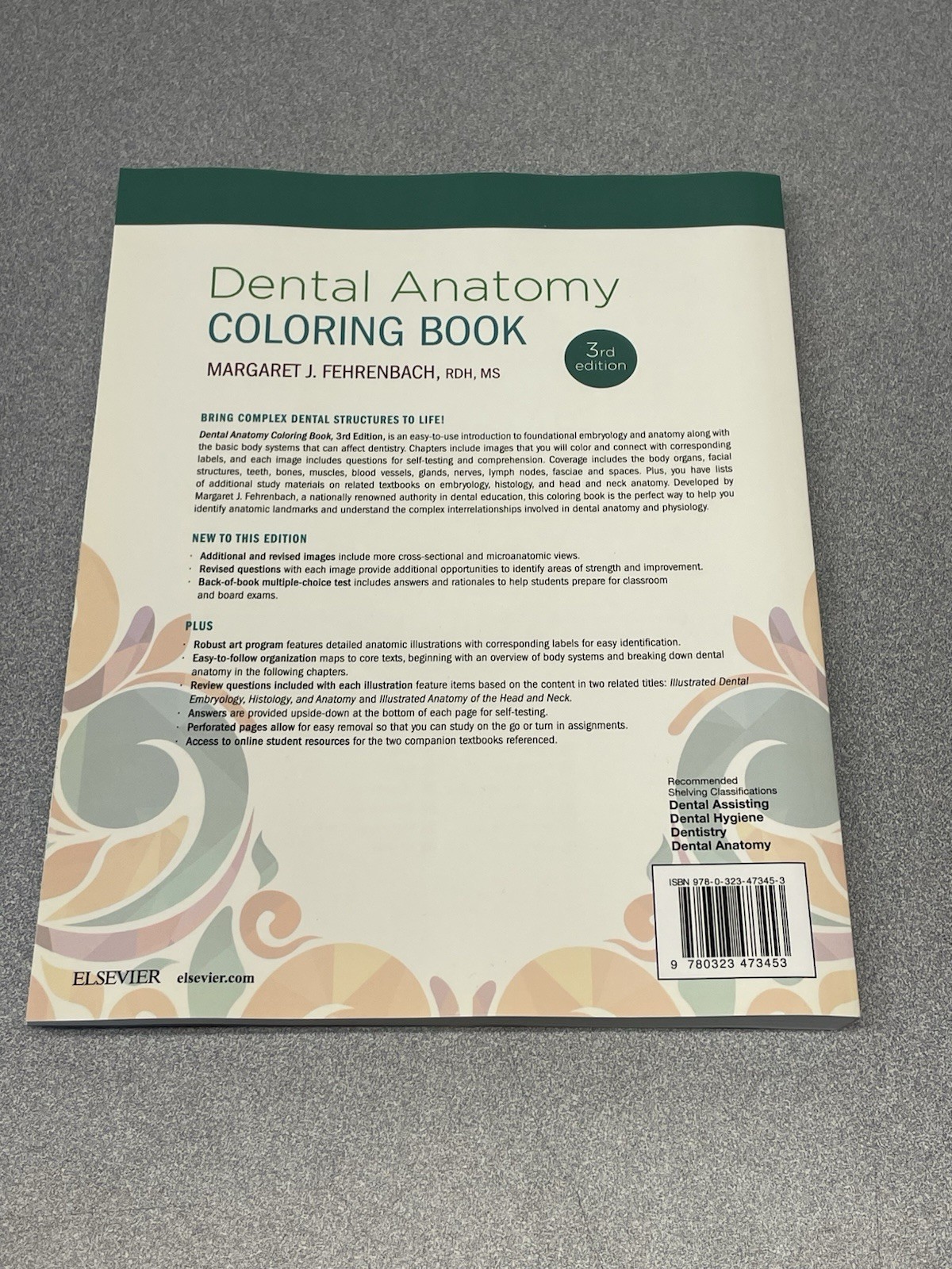 Dental Anatomy Coloring Book by Margaret J. Fehrenbach (2018, Trade Paperback)