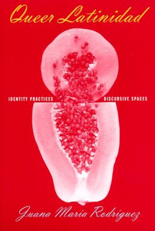 Queer Latinidad : Identity Practices, Discursive Spaces Paperback