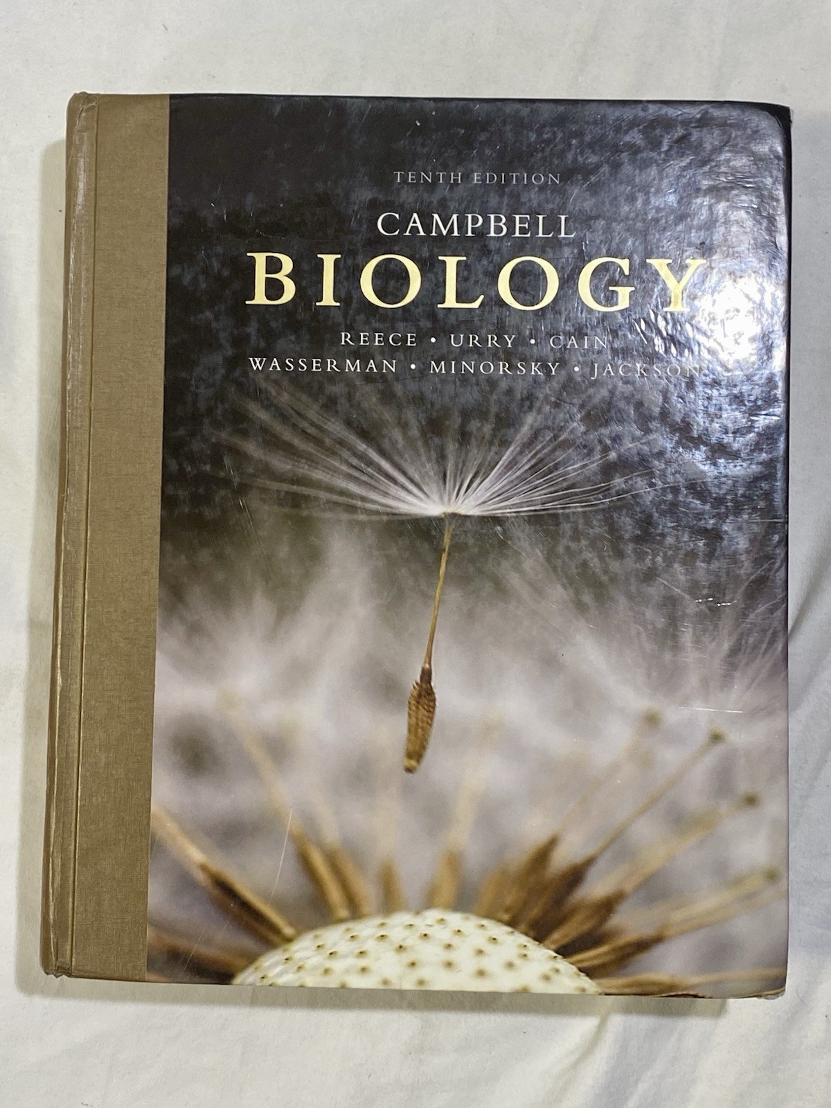 Campbell Biology by Peter V. Minorsky, Robert B. Jackson, Michael L. Cain, Lisa