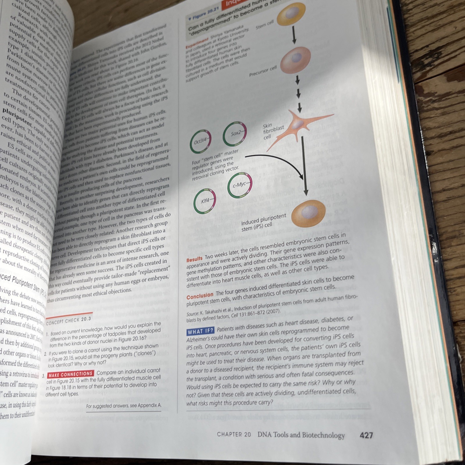 Campbell Biology by Peter V. Minorsky, Robert B. Jackson, Michael L. Cain, Lisa