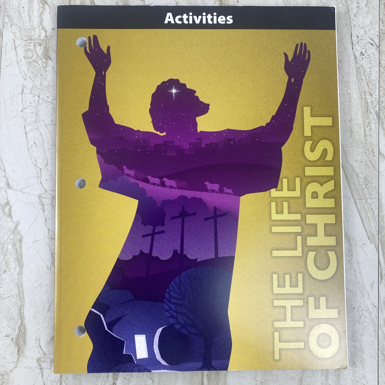 BJU Press The Life of Christ Student Text and Activities Book AND Assessments!