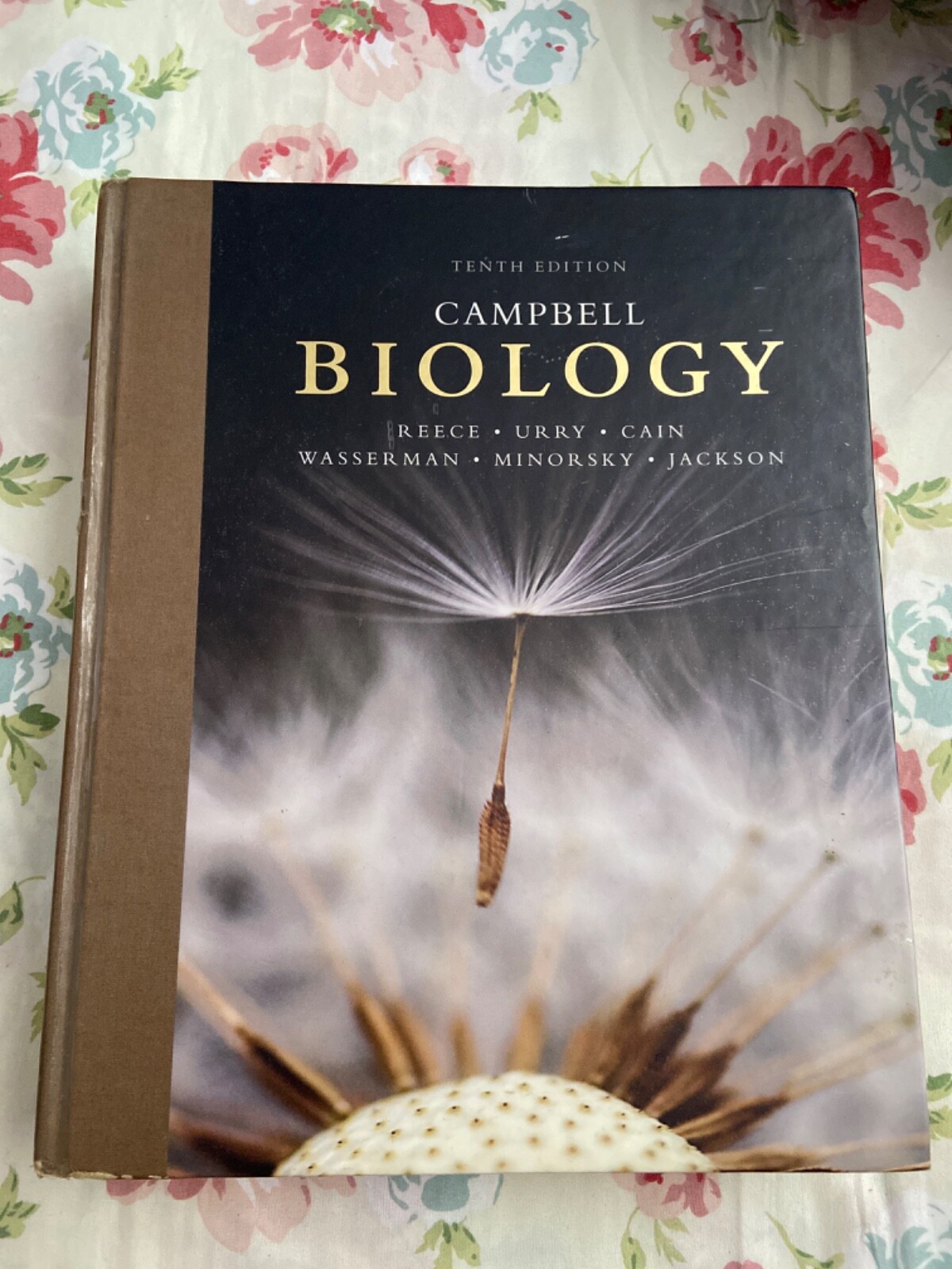Campbell Biology by Lisa A. Urry, Peter V. Minorsky, Robert B. Jackson, Michael