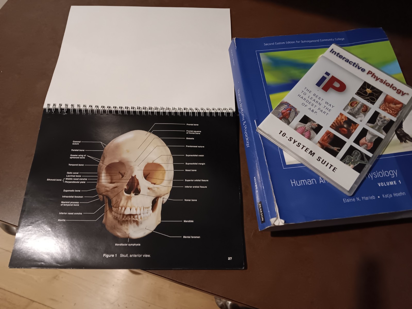 Pearson Human A&P books Vol 1/2, 2nd edititon w/cd rom, & atlas of human body