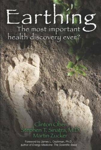 Earthing: The Most Important Health Discovery Ever? – Paperback – VERY GOOD