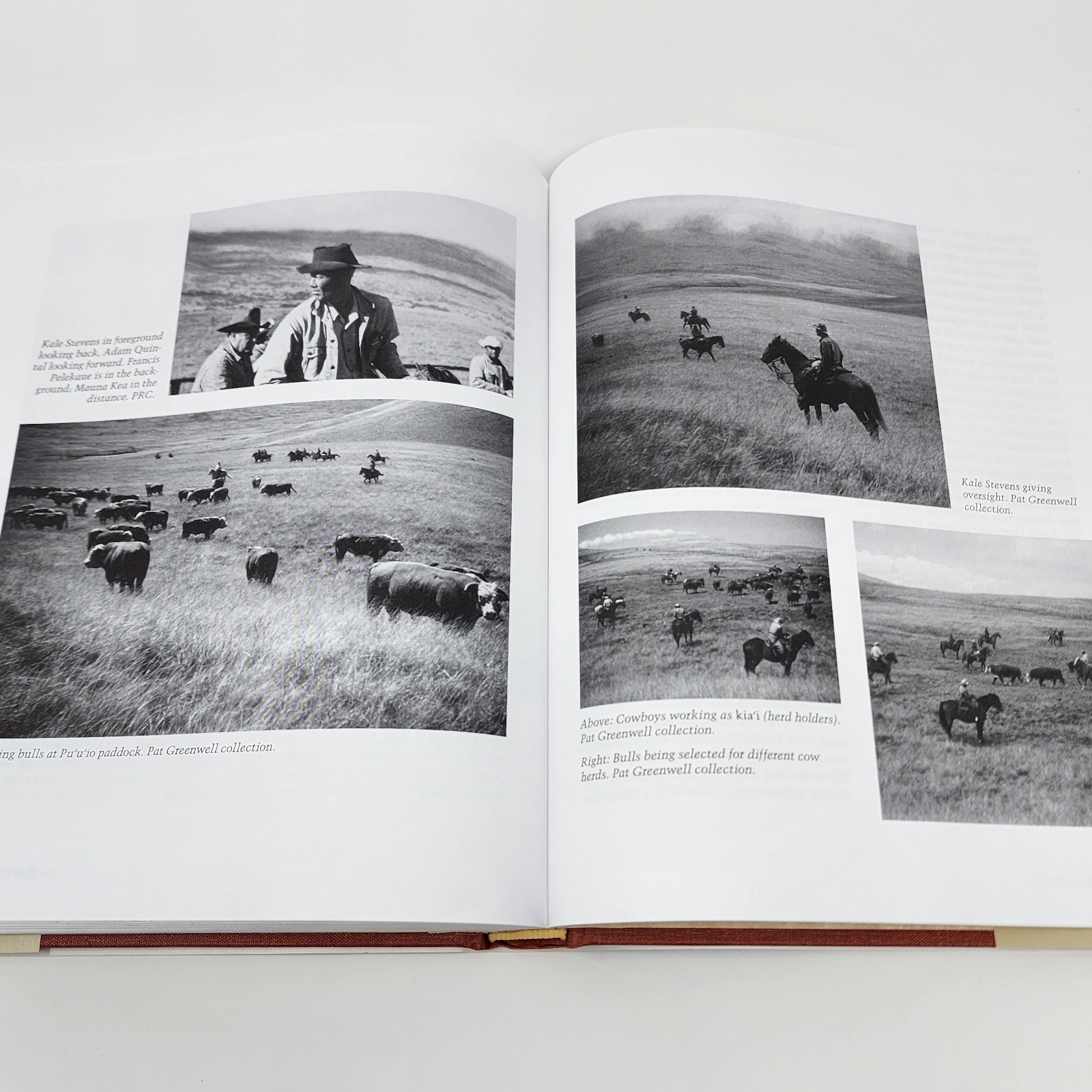 Loyal to the Land The Legendary Parker Ranch 1950-1970 Volume 2 Senior Stewards