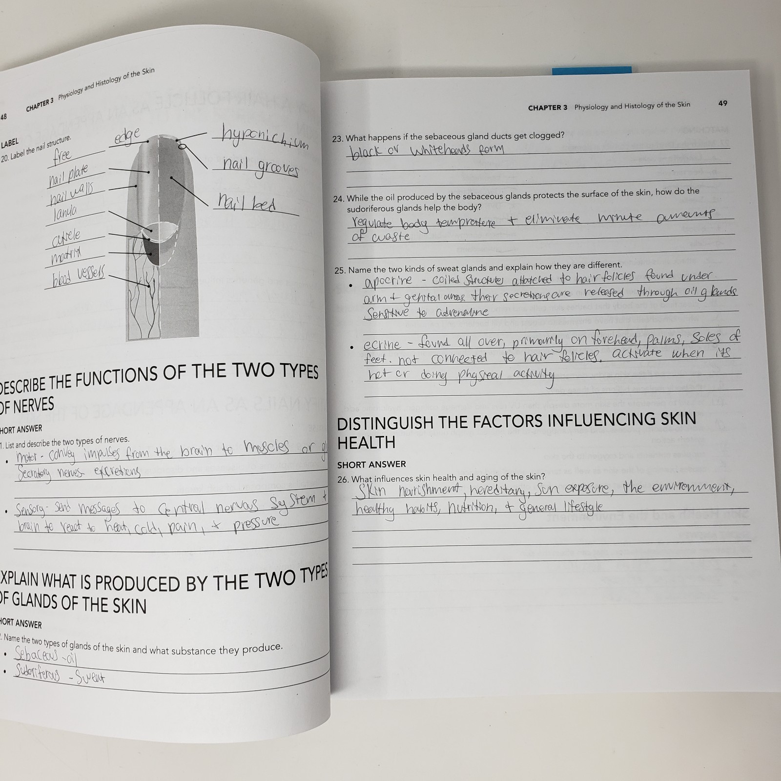 Milady Foundations Book, Workbook, and Standard Esthetics Fundamentals Workbook