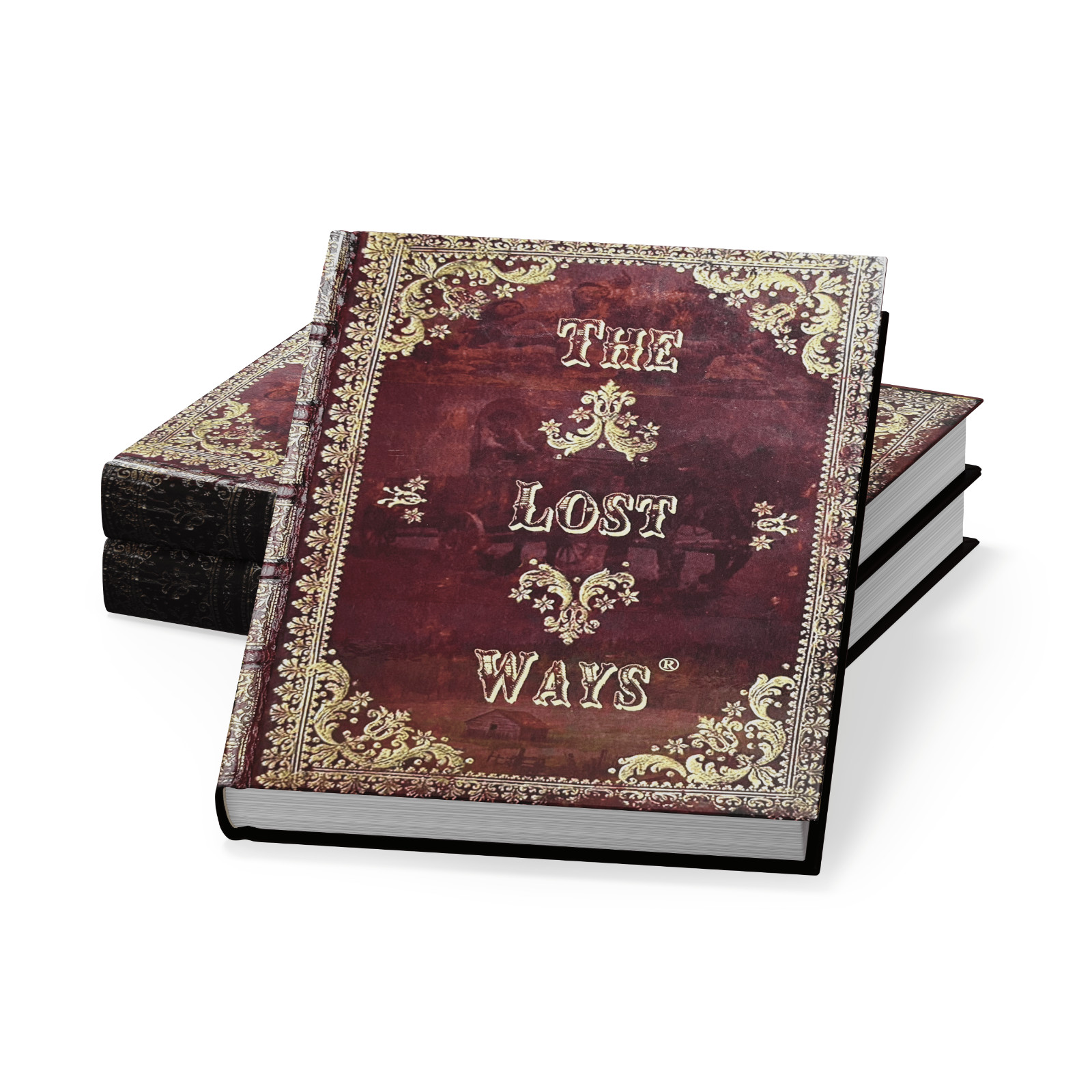 The Lost Ways (HardCover special edition)