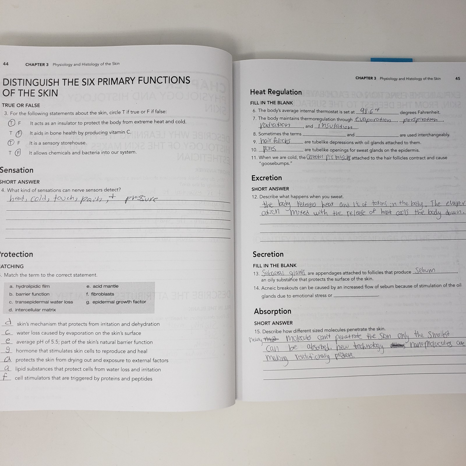 Milady Foundations Book, Workbook, and Standard Esthetics Fundamentals Workbook
