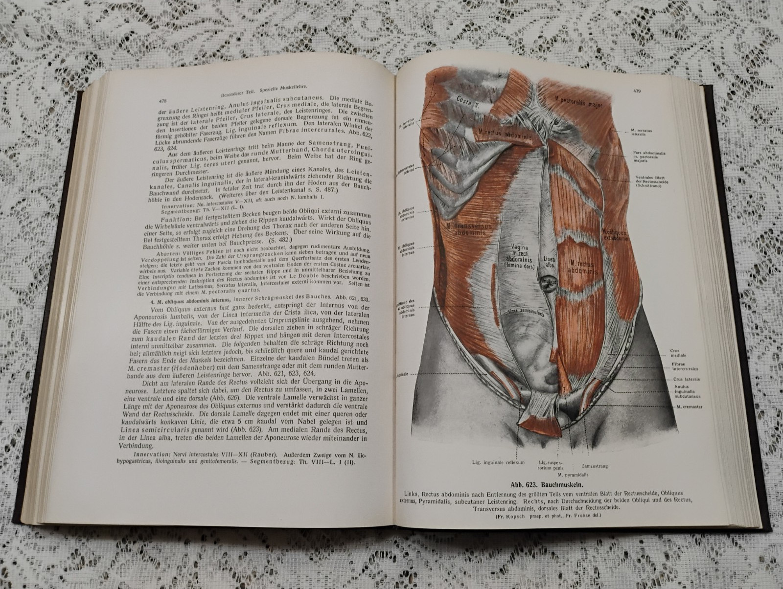 Atlas Of Human Anatomy 1952 Vol 1 In German Skeletal, Muscular General systems