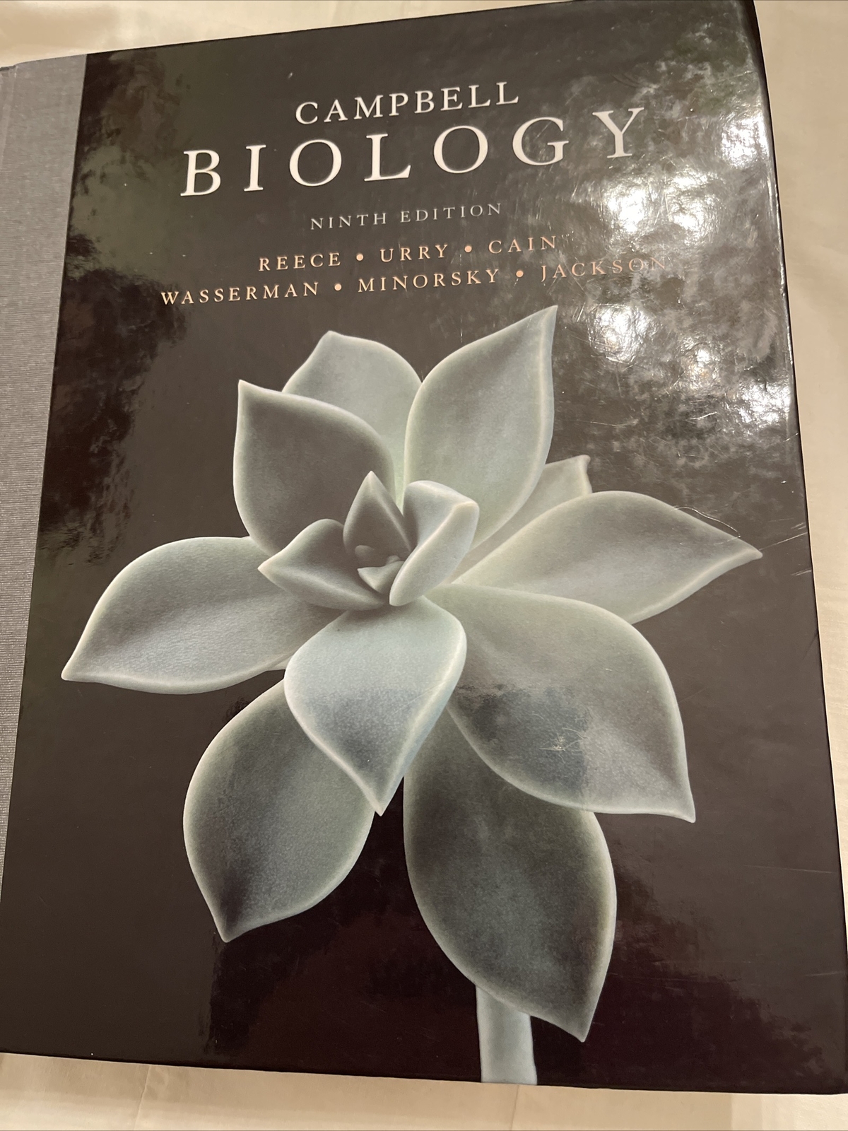 Campbell Biology by Lisa A. Urry, Peter V. Minorsky, Robert B. Jackson, Michael