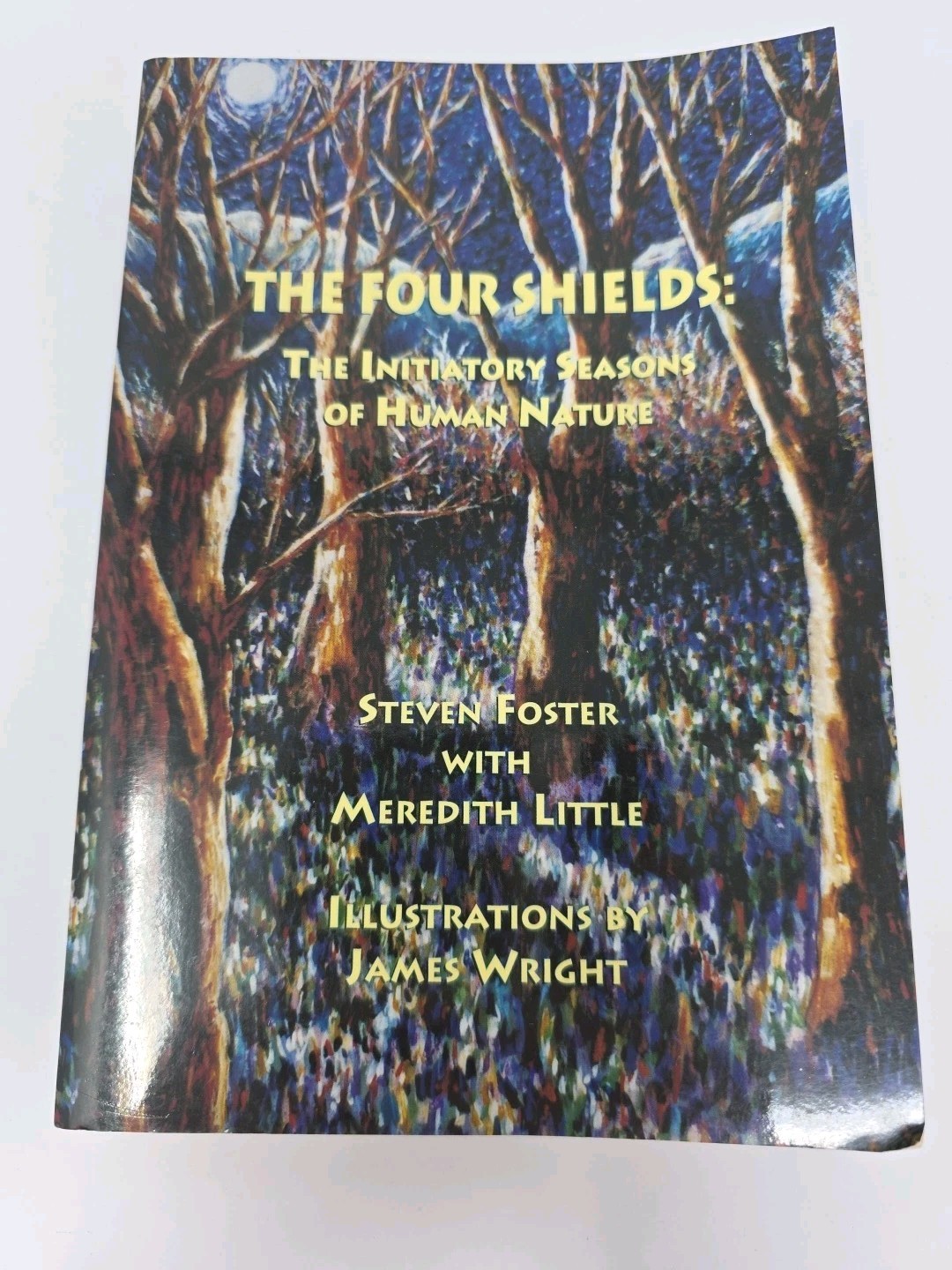 The Four Shields: The Initiatory Seasons of Human Nature by Steven Foster