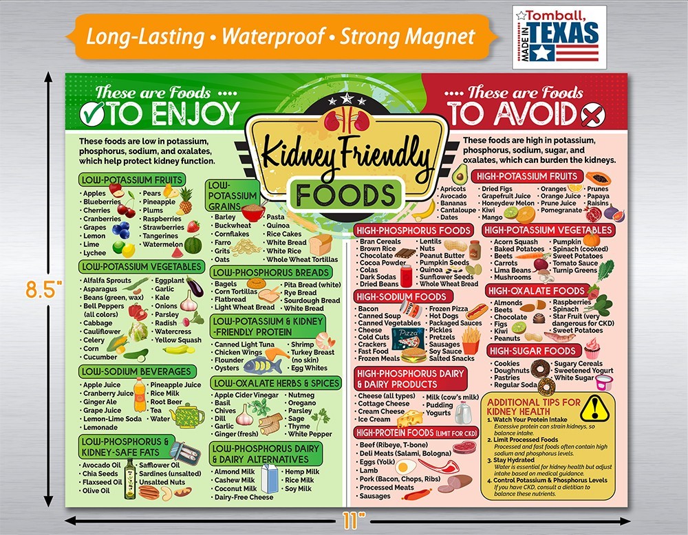Kidney-Friendly Foods 8.5×11 Magnet –Renal Diet Chart Nutrition Guide for Fridge