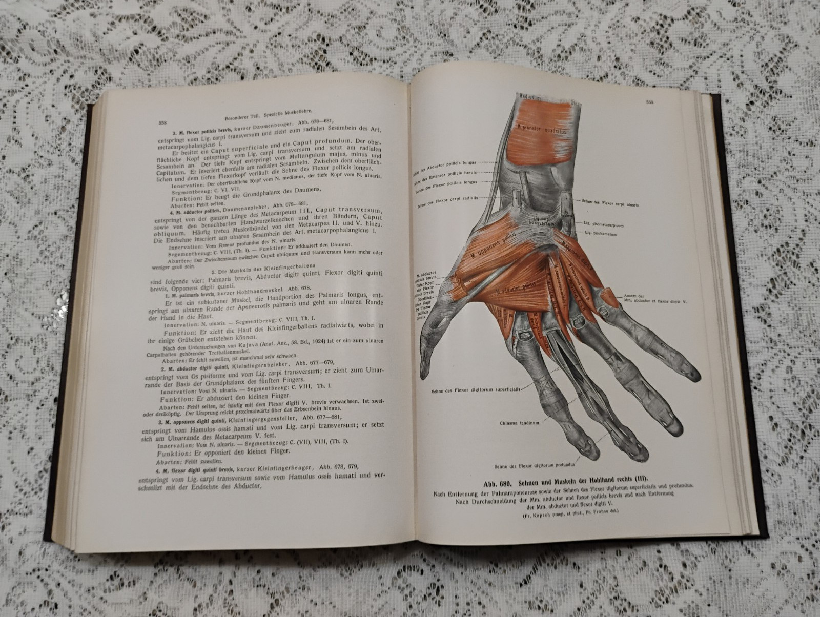 Atlas Of Human Anatomy 1952 Vol 1 In German Skeletal, Muscular General systems