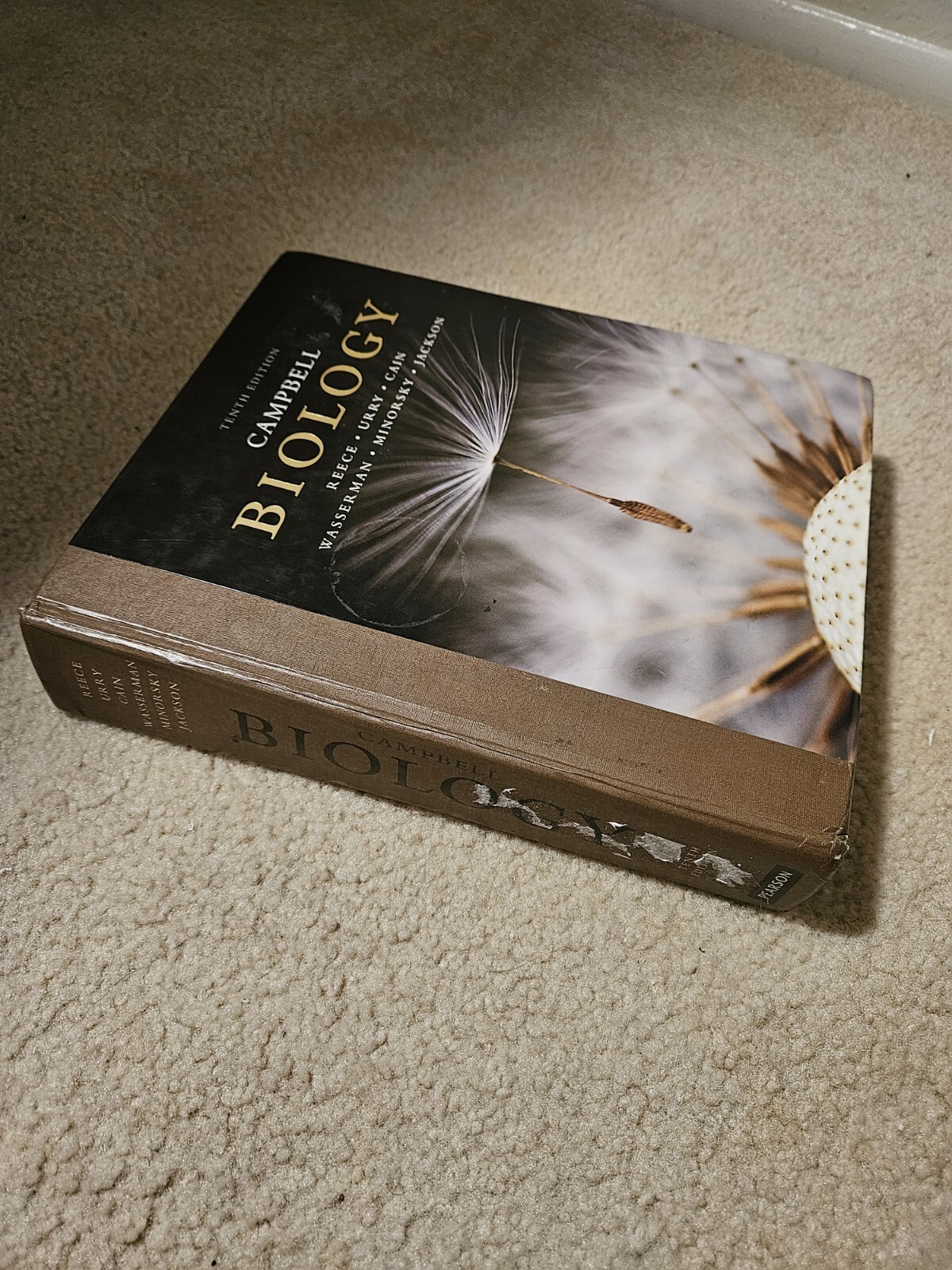 Campbell Biology by Lisa A. Urry, Peter V. Minorsky, Robert B. Jackson, Michael