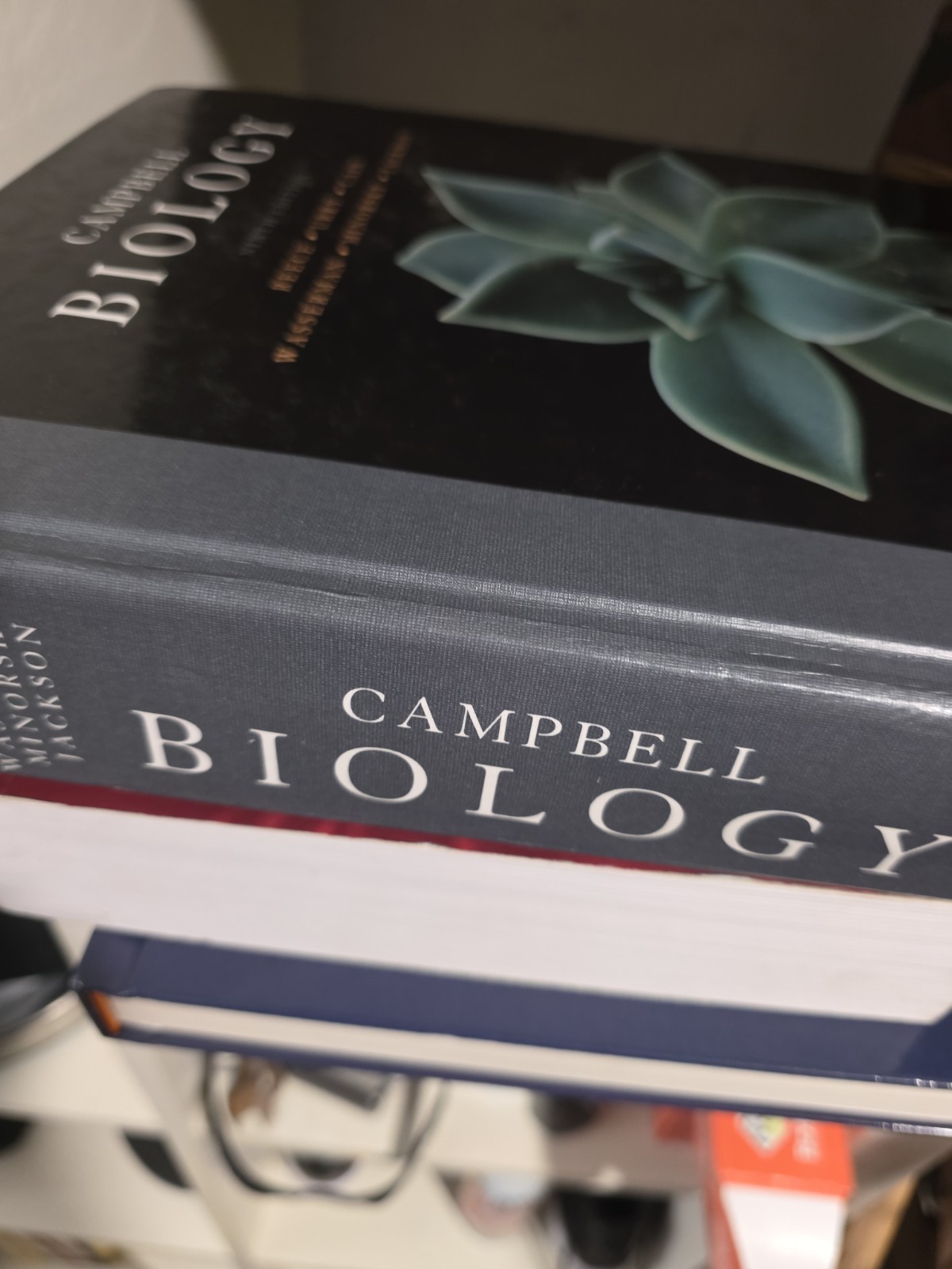 Campbell Biology by Peter V. Minorsky, Robert B. Jackson, Michael L. Cain, Lisa