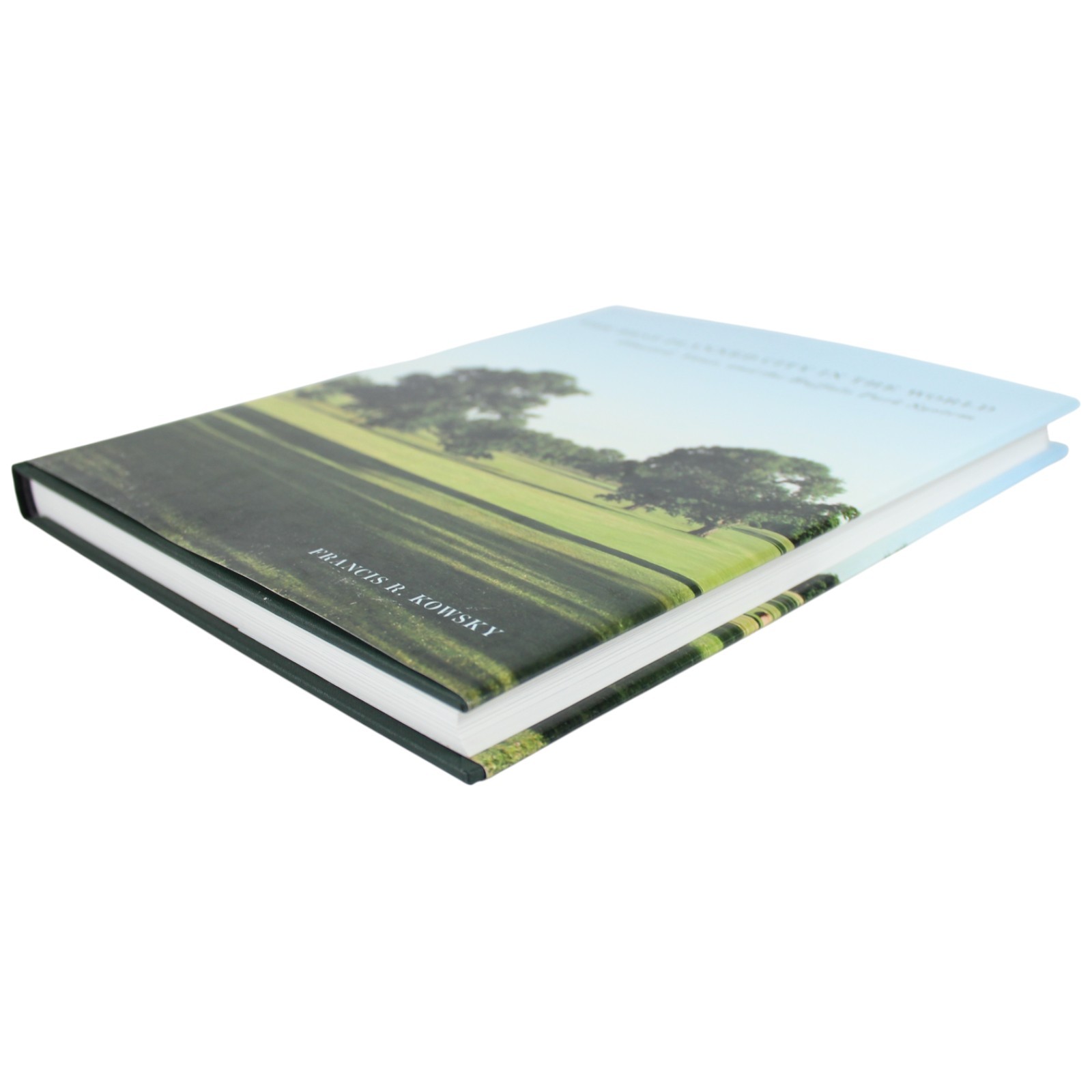 Olmsted Parks Landscape Architect Buffalo NY Park System Urban Plan 1st Signed