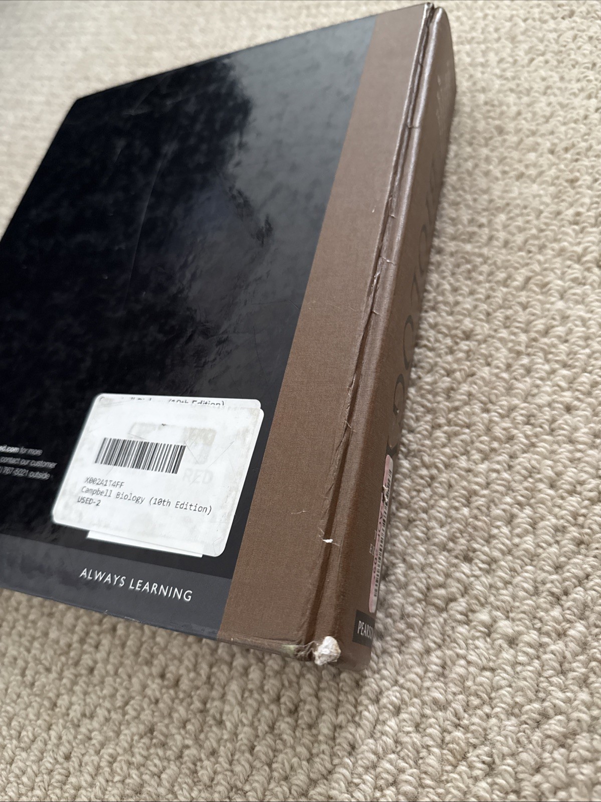 Campbell Biology by Peter V. Minorsky, et al (2013, Hardcover)