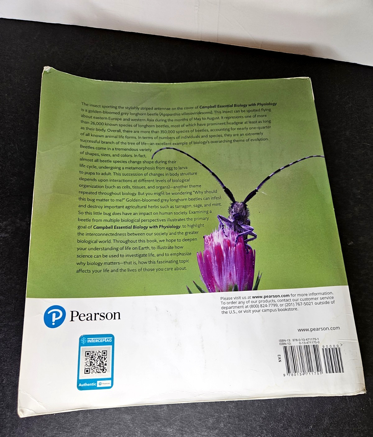 Campbell ESSENTIAL BIOLOGY with Physiology, 6th Ed by Simon, 2019 PB, Used