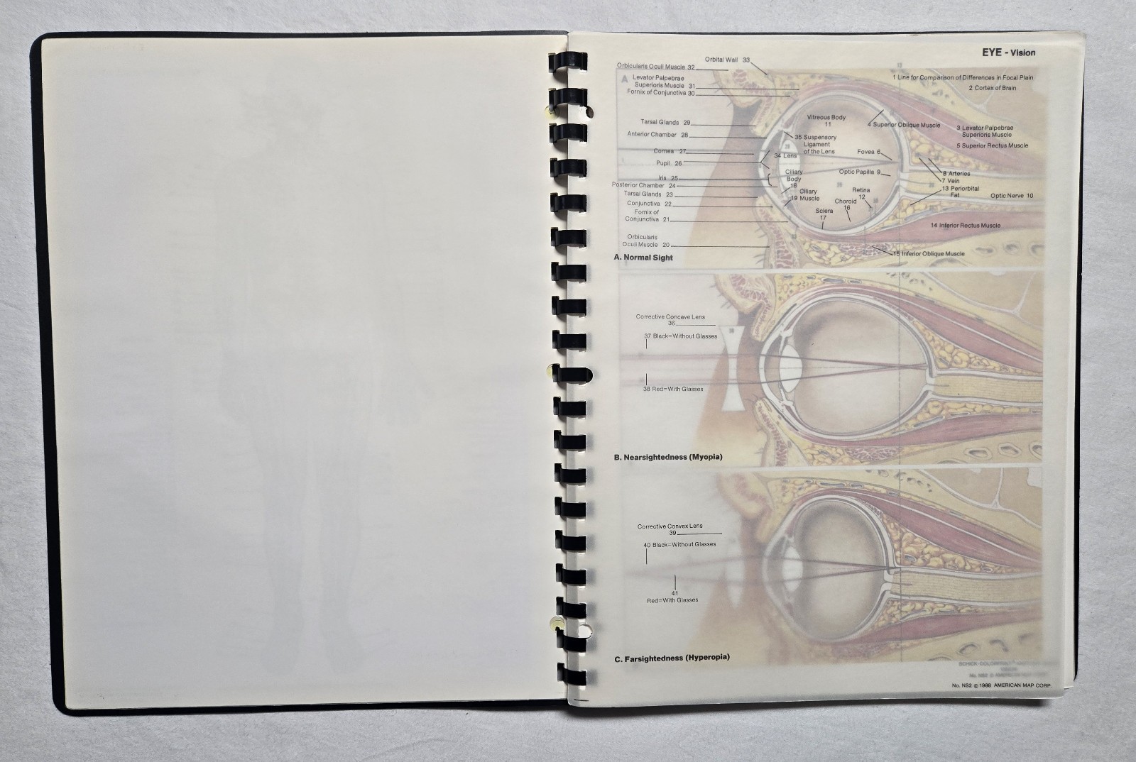 Schick Notebook Charts Human Anatomy Softcover Spiral Bound Book (1987)