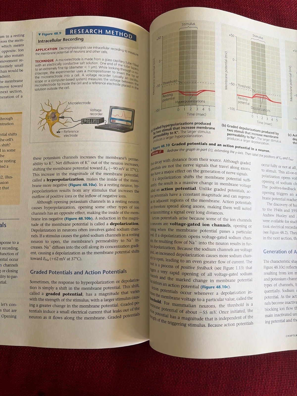 Campbell Biology by Peter V. Minorsky, Robert B. Jackson, Michael L. Cain, Lisa