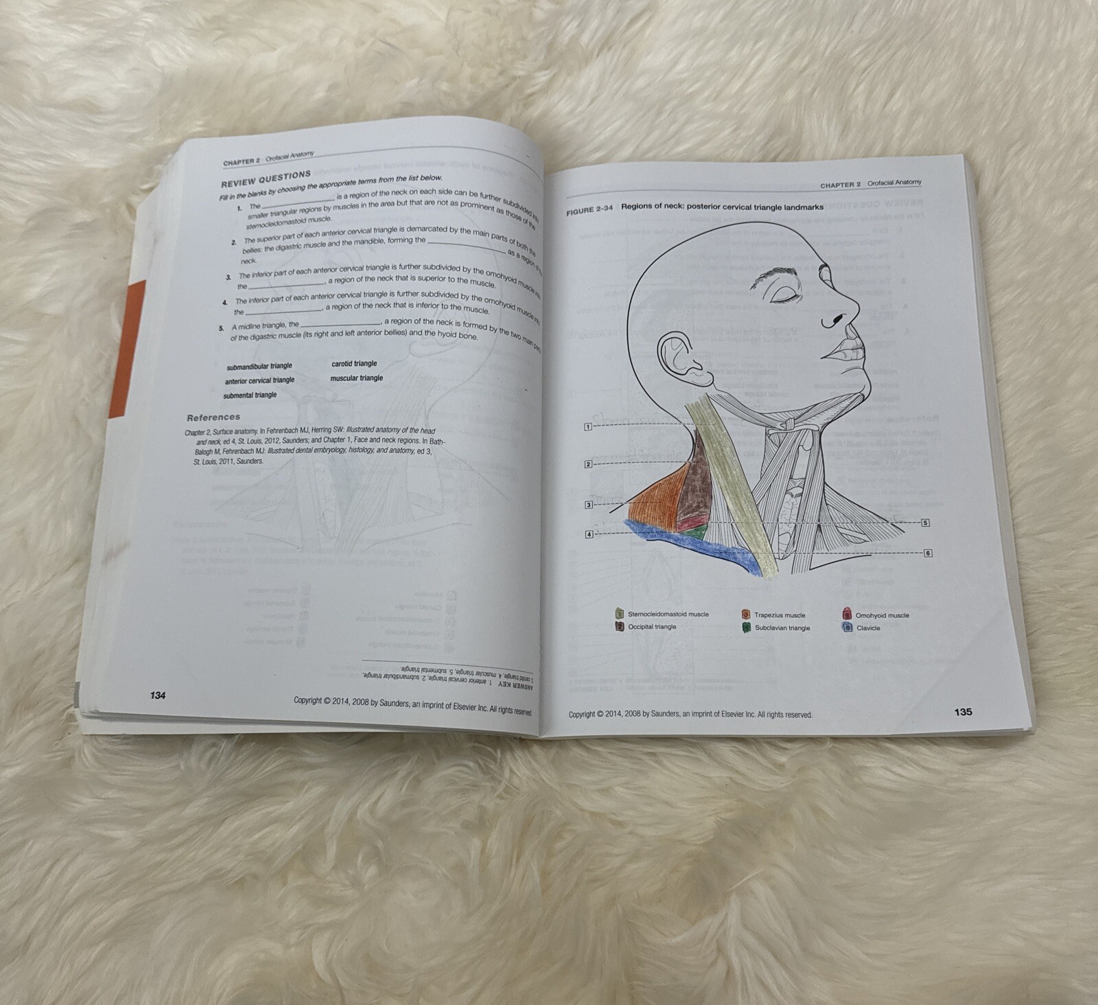 Dental Anatomy Coloring Book 2nd Edition 978-1-4557-4589-0+US SELLER+FREE SHIP