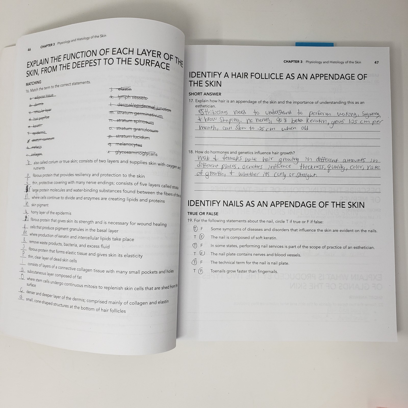 Milady Foundations Book, Workbook, and Standard Esthetics Fundamentals Workbook