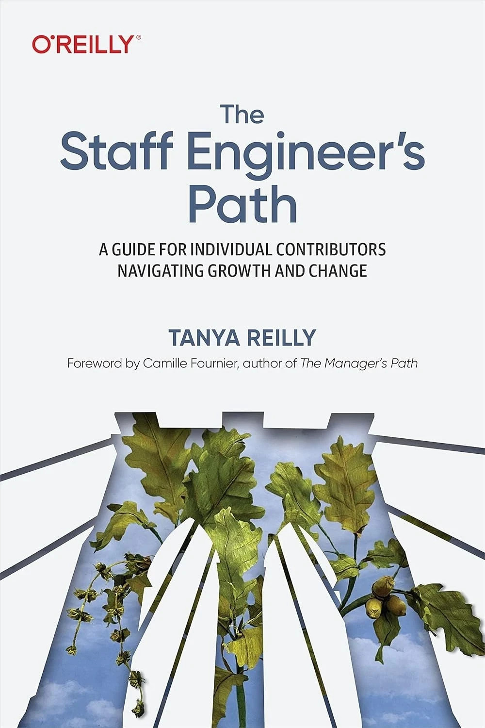 The Staff Engineer’s Path: A Guide for Individual Contributors Navigating Growth