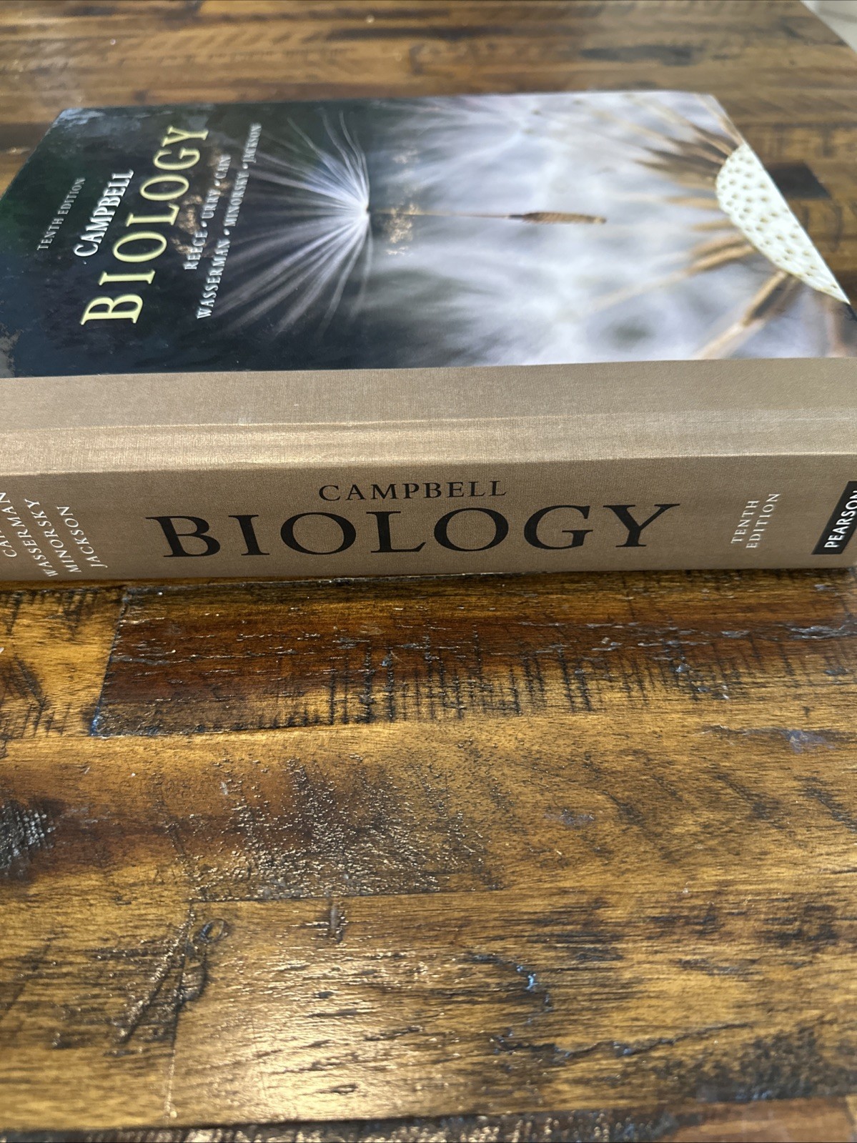 Campbell Biology by Peter V. Minorsky, Robert B. Jackson, Michael L. Cain Book