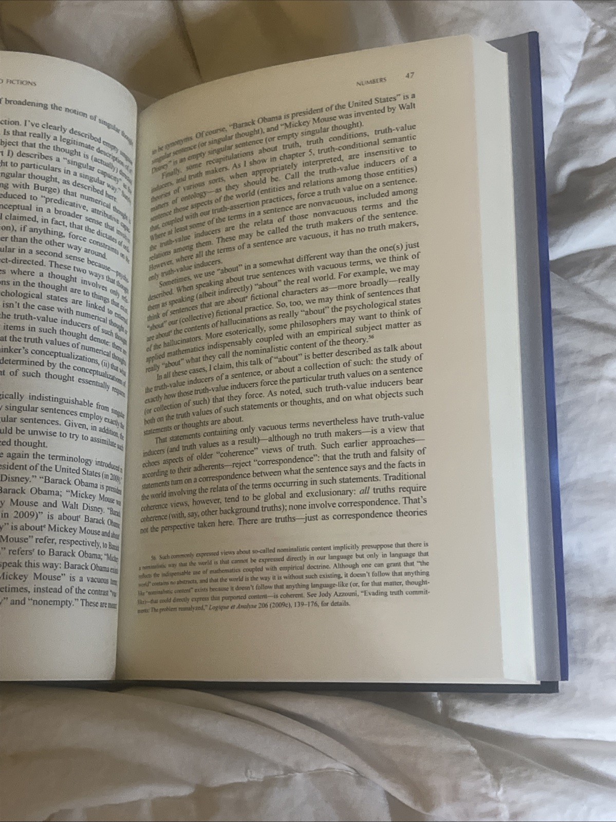 Talking about Nothing : Numbers, Hallucinations, and Fictions Jod