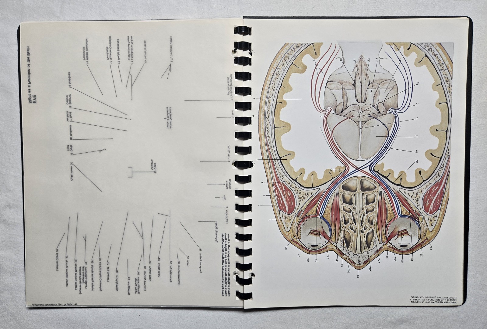 Schick Notebook Charts Human Anatomy Softcover Spiral Bound Book (1987)