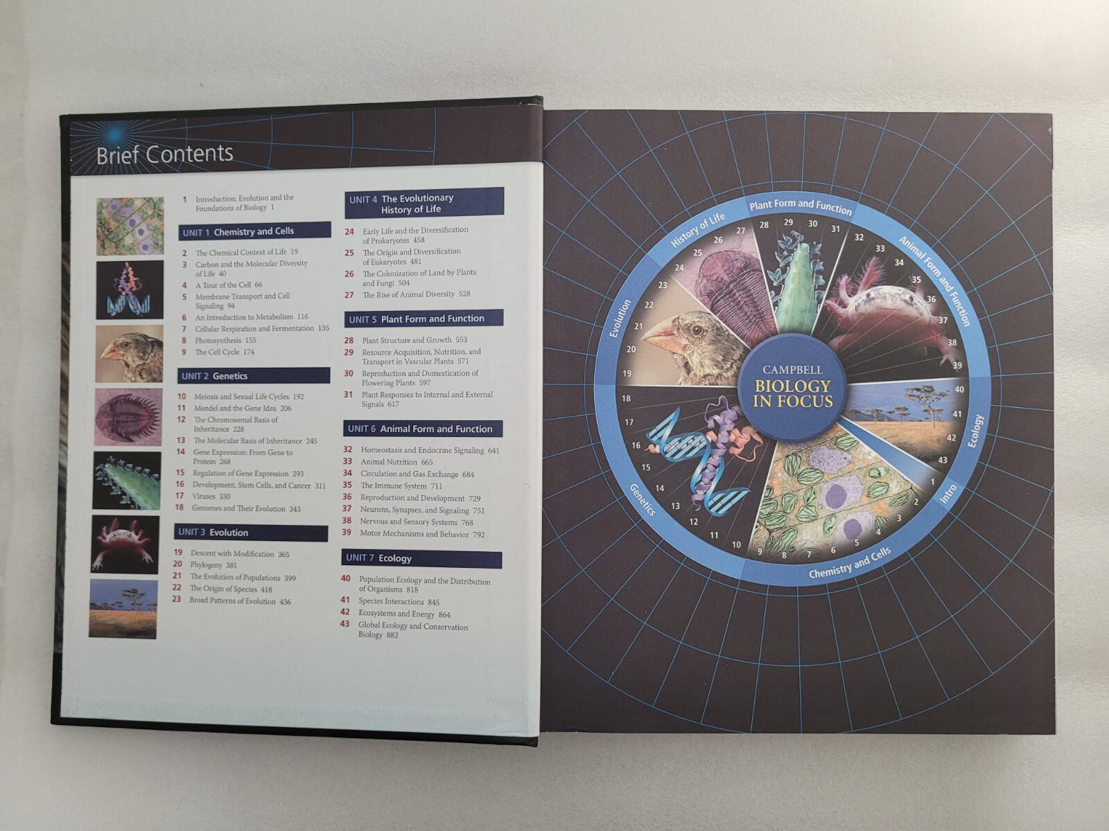 Campbell Biology in Focus by Peter V. Minorsky – Hardcover 2013