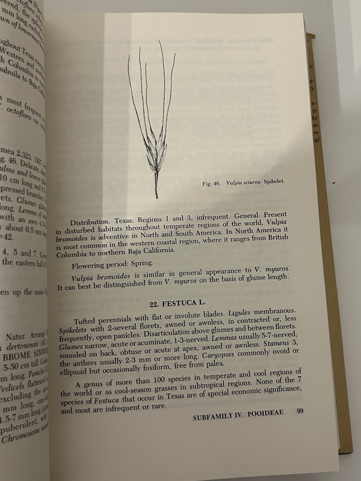 The Grasses of Texas By Frank W Gould 1975 HC Dust Jacket Texas A&M Press