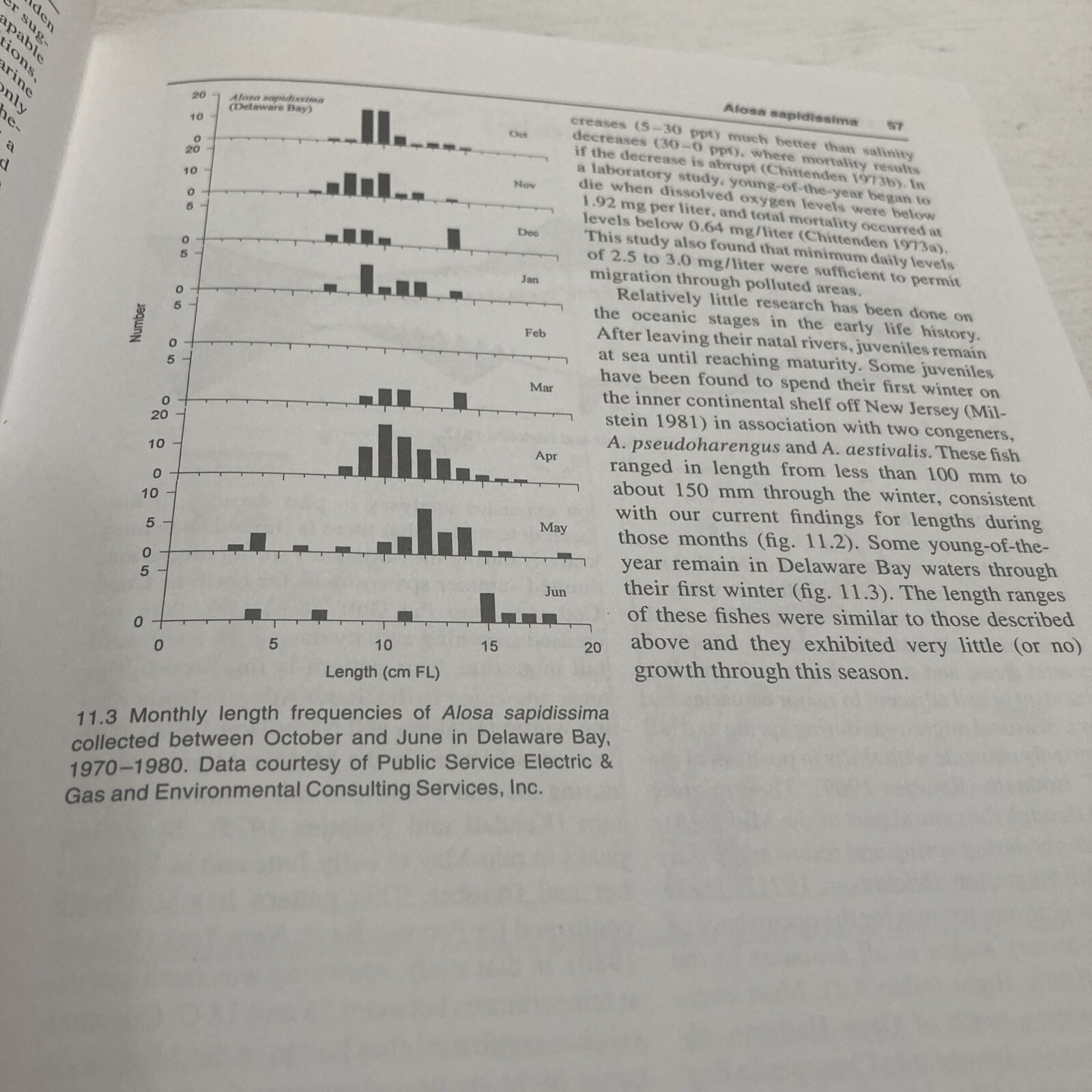 First Year in the Life of Estuarine Fishes in the Middle Atlantic Bight by Ke…