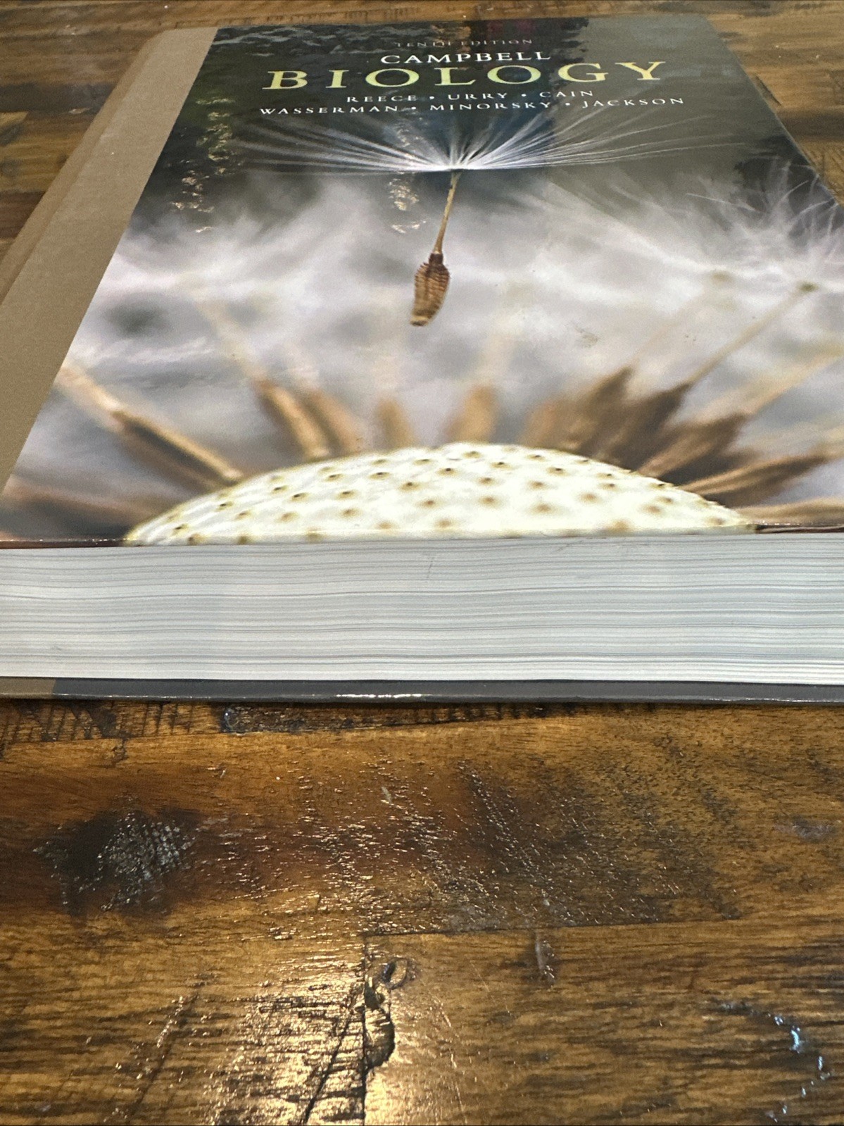 Campbell Biology by Peter V. Minorsky, Robert B. Jackson, Michael L. Cain Book