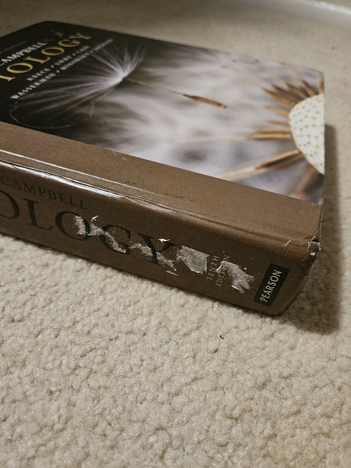 Campbell Biology by Lisa A. Urry, Peter V. Minorsky, Robert B. Jackson, Michael