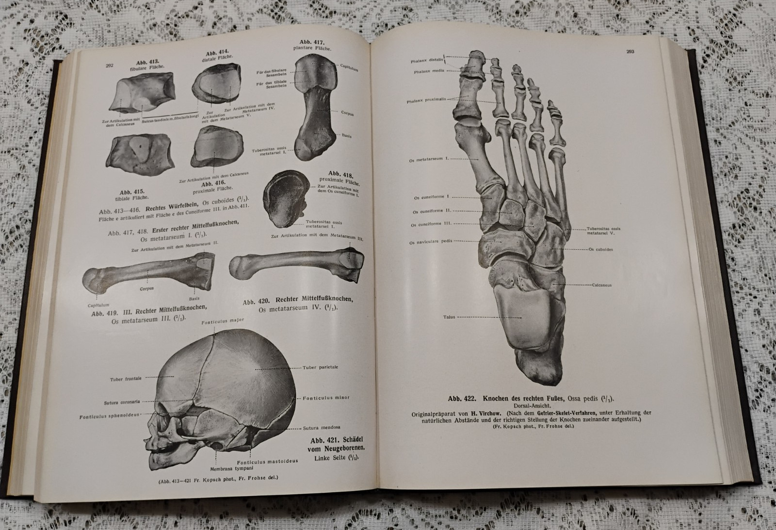 Atlas Of Human Anatomy 1952 Vol 1 In German Skeletal, Muscular General systems