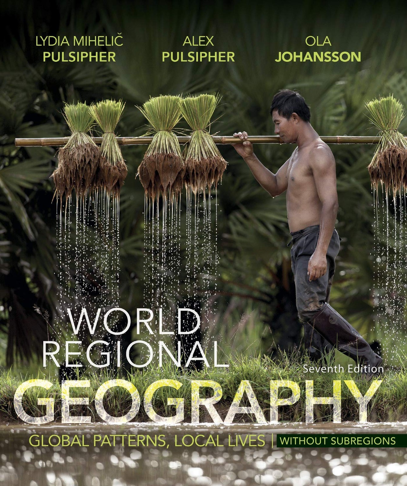 World Regional Geography Without Subregions: Global Patterns, Local Lives