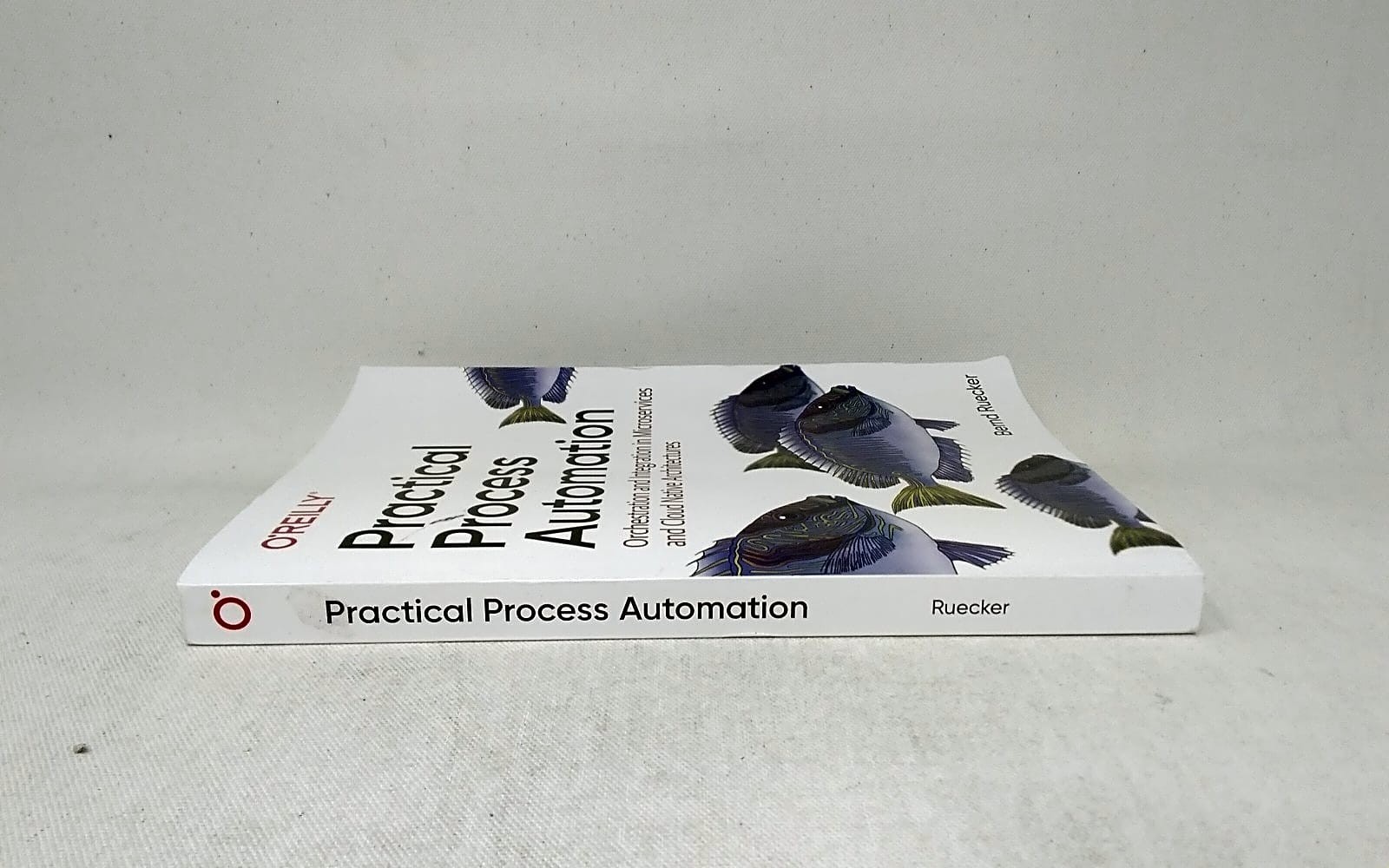 O’Reilly Media Practical Process Automation 9781492061458 Bernd Ruecker