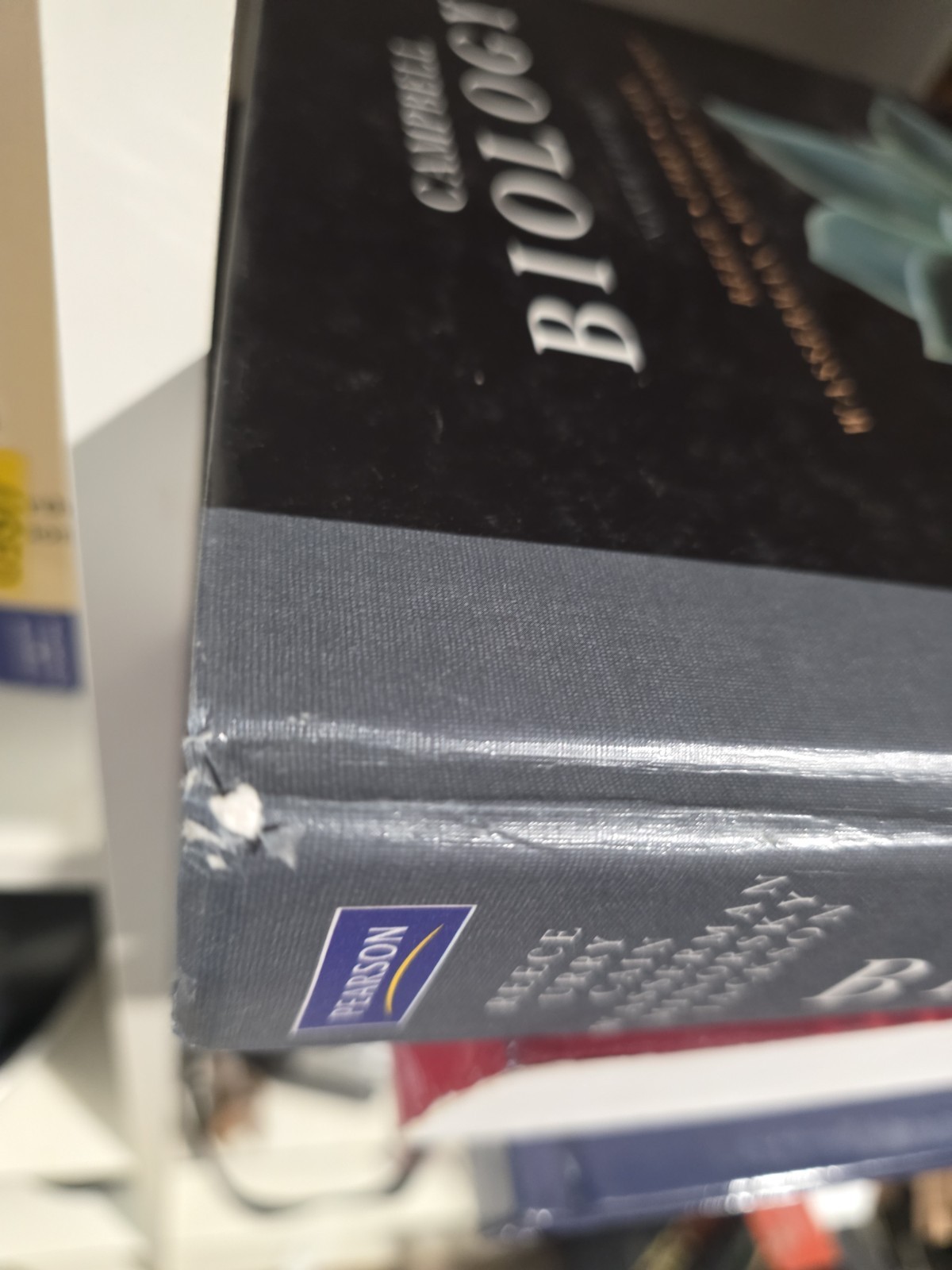 Campbell Biology by Peter V. Minorsky, Robert B. Jackson, Michael L. Cain, Lisa