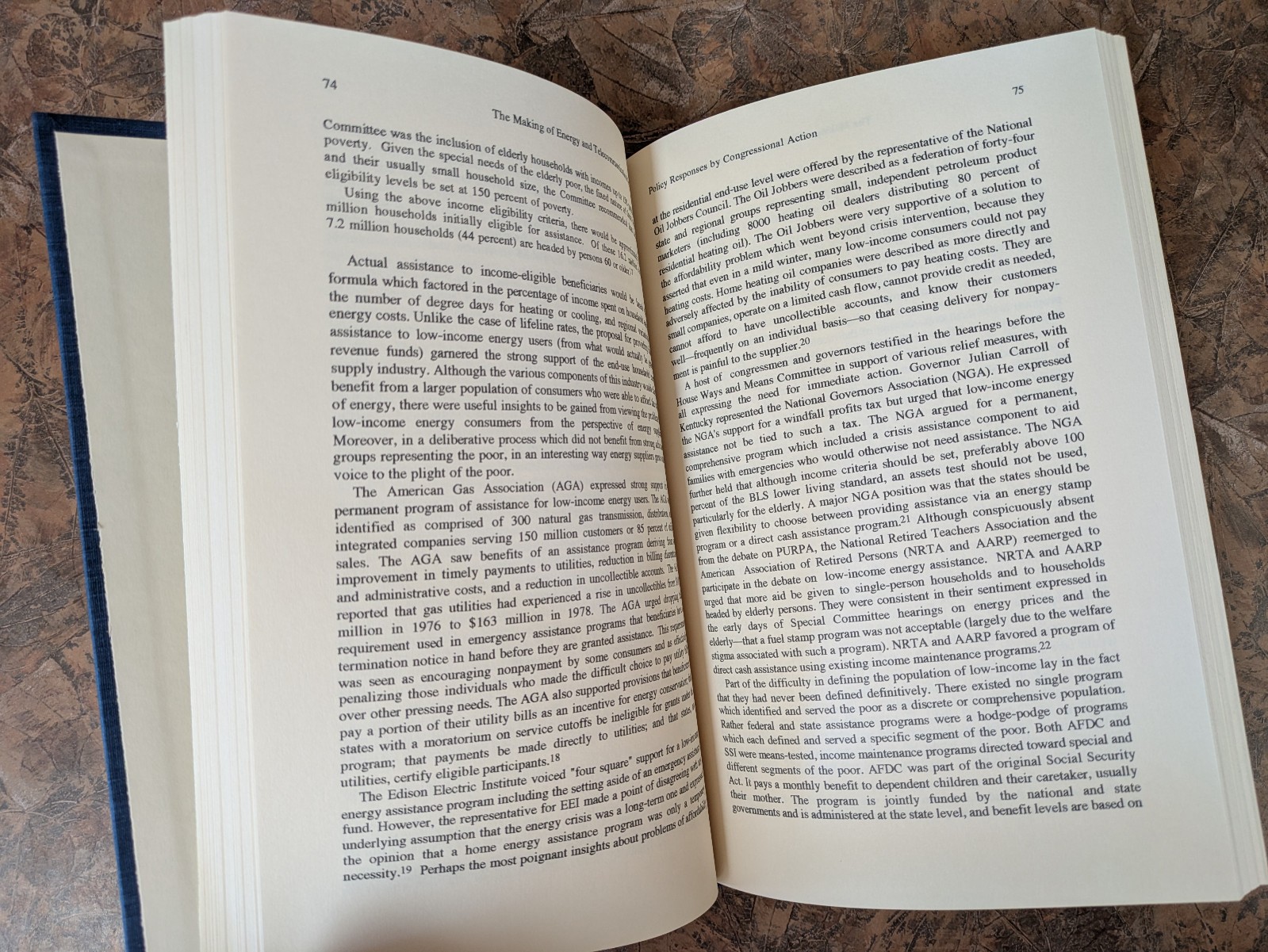 Making of Energy and Telecommunications Policy | Georgia Persons | 1995 HC