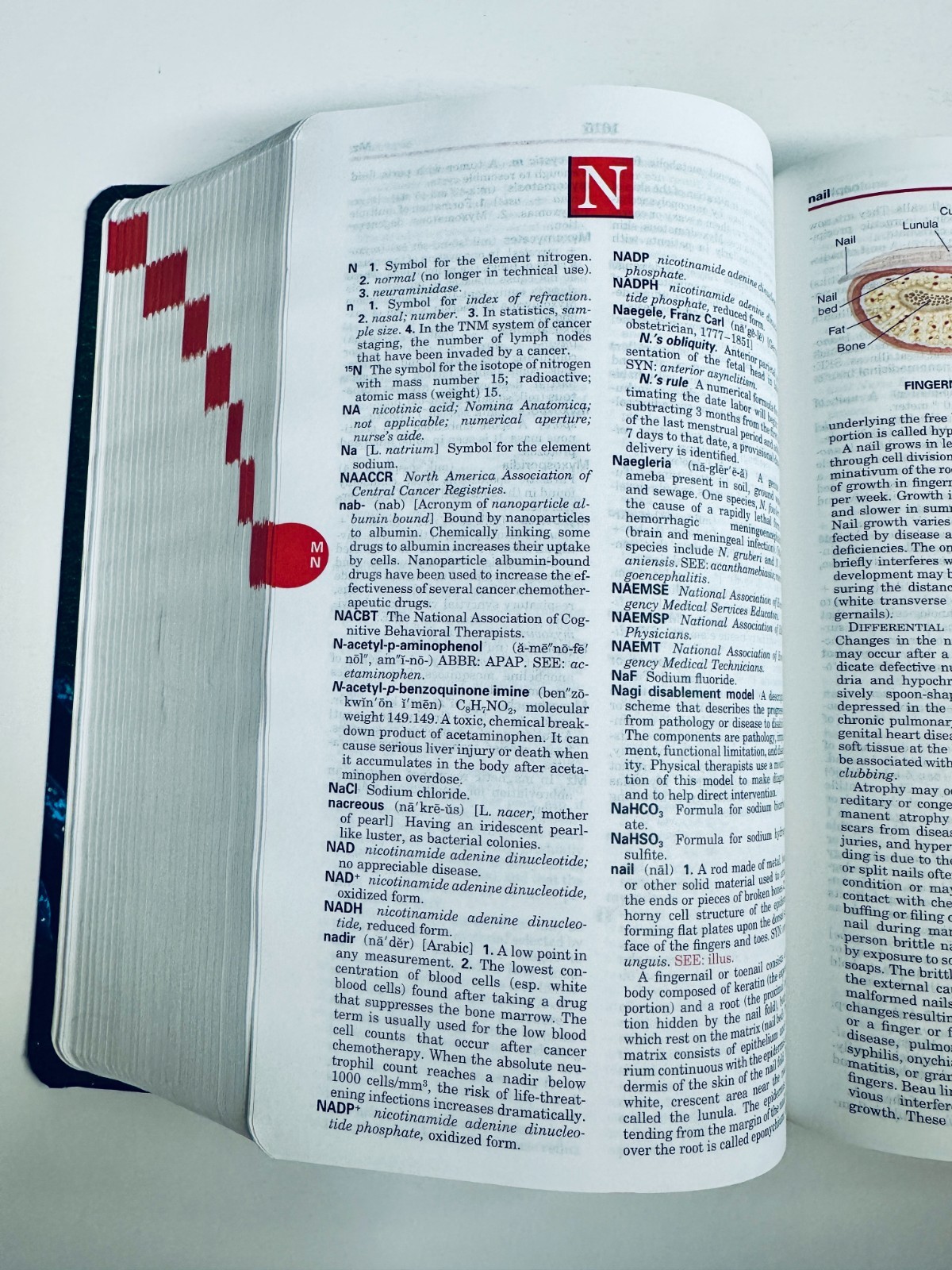 Taber’s Cyclopedic Medical Dictionary – 24th Edition – Brand New