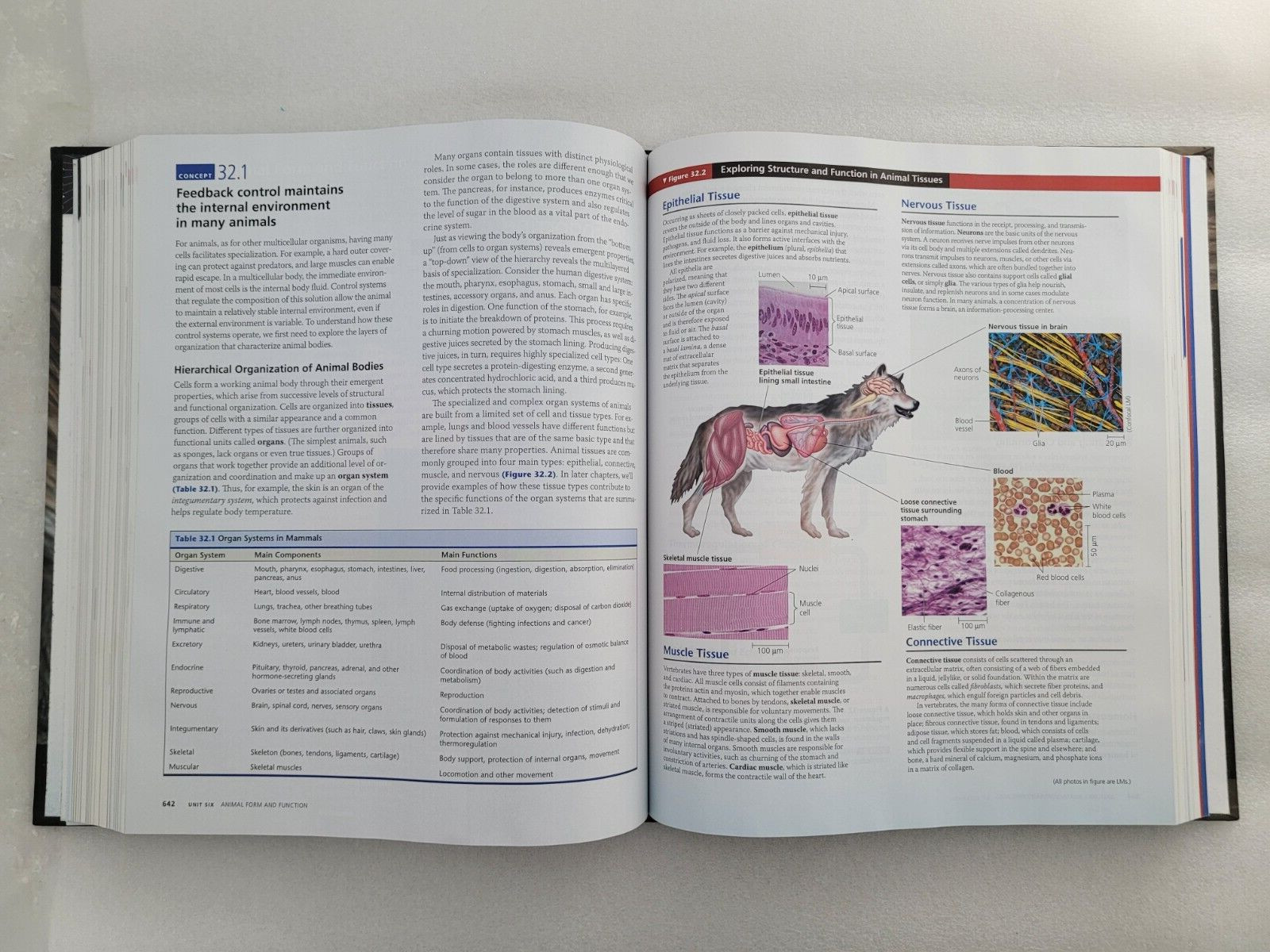 Campbell Biology in Focus by Peter V. Minorsky – Hardcover 2013