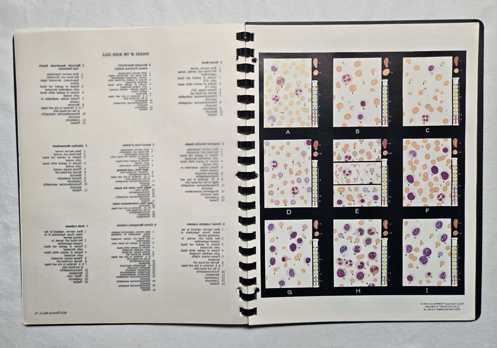 Schick Notebook Charts Human Anatomy Softcover Spiral Bound Book (1987)